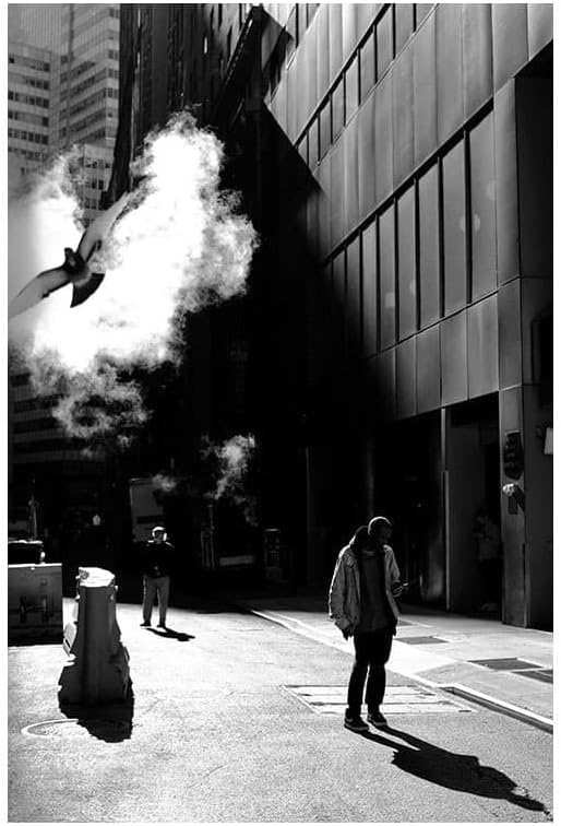 Sigma 30mm F1.4 Contemporary DC DN Lens for Micro 4/3