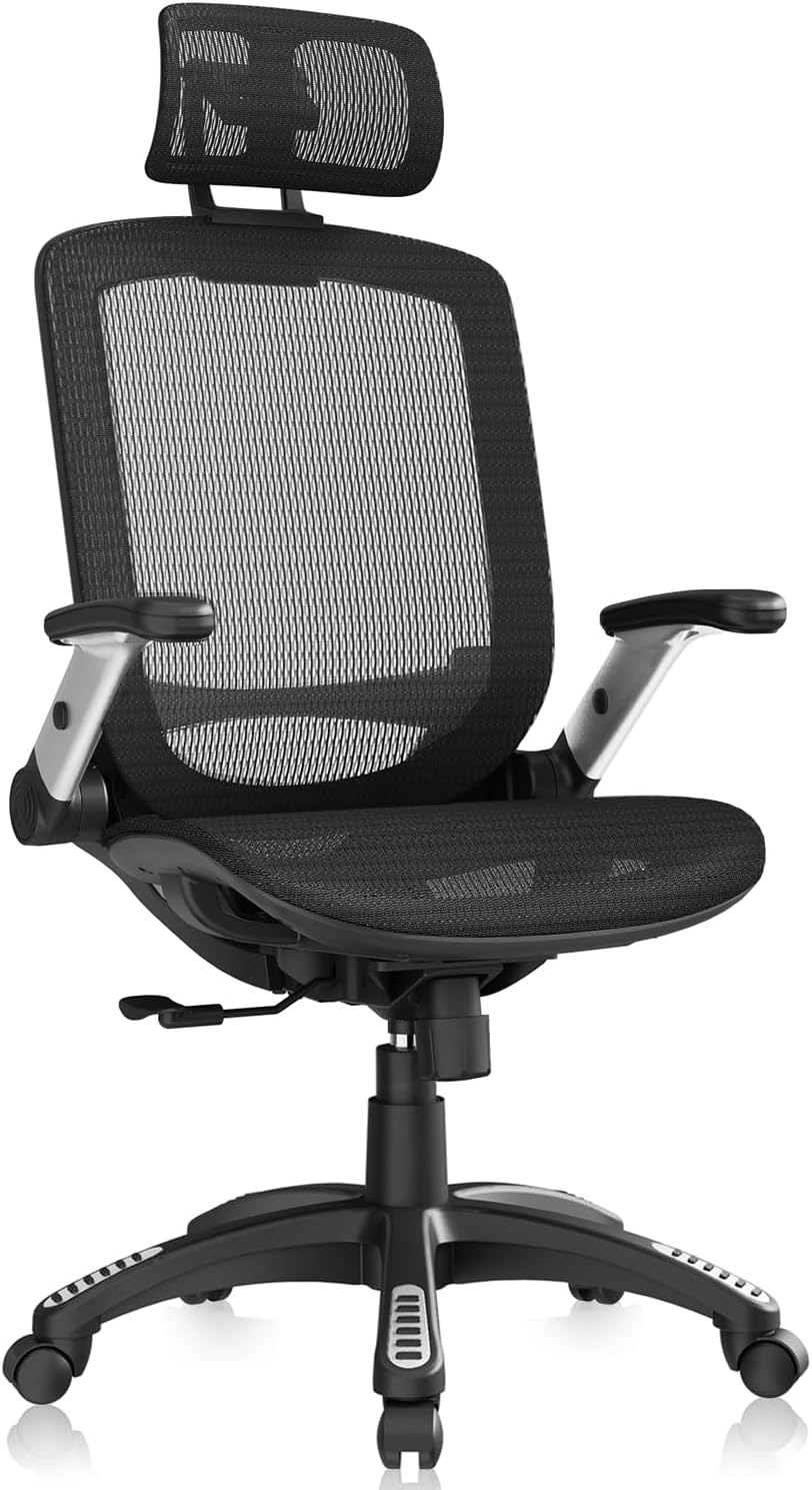 GABRYLLY Ergonomic Office Chair