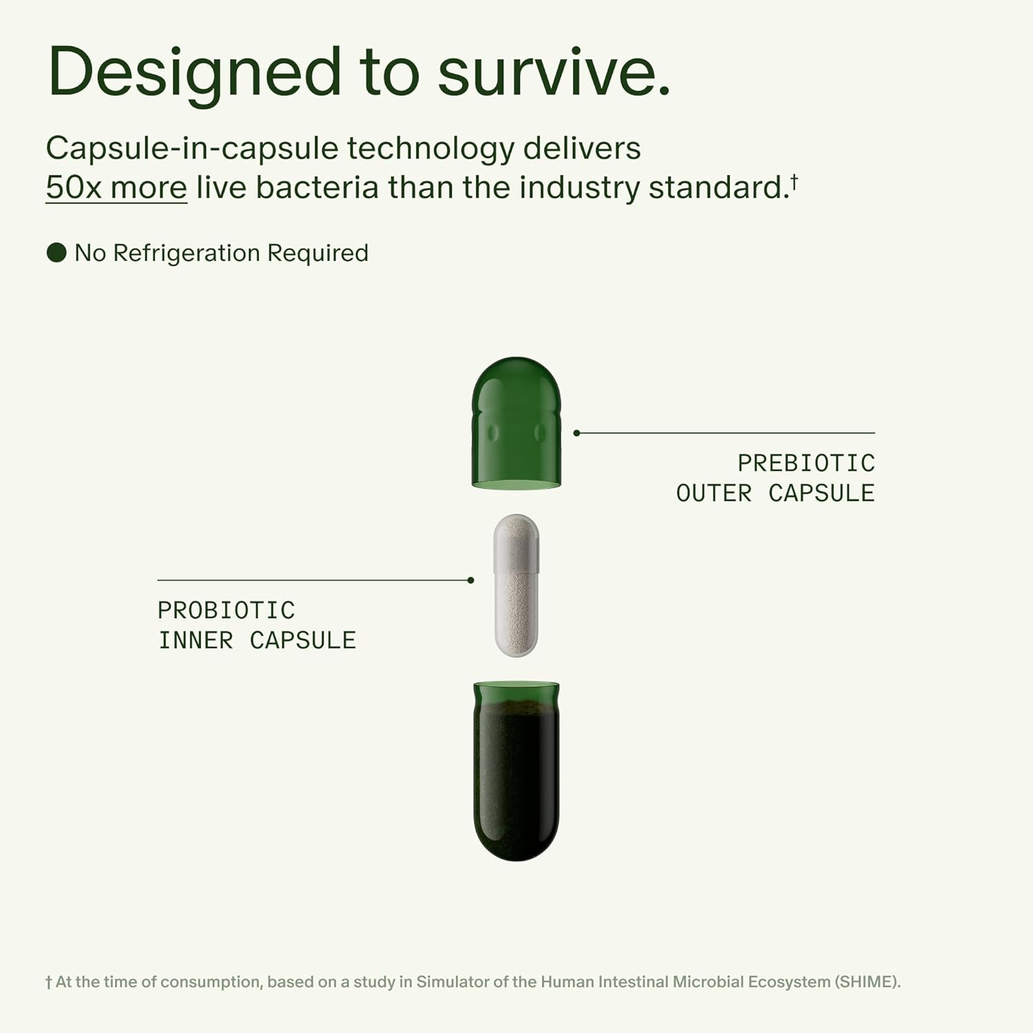 Seed DS-01 Daily Synbiotic