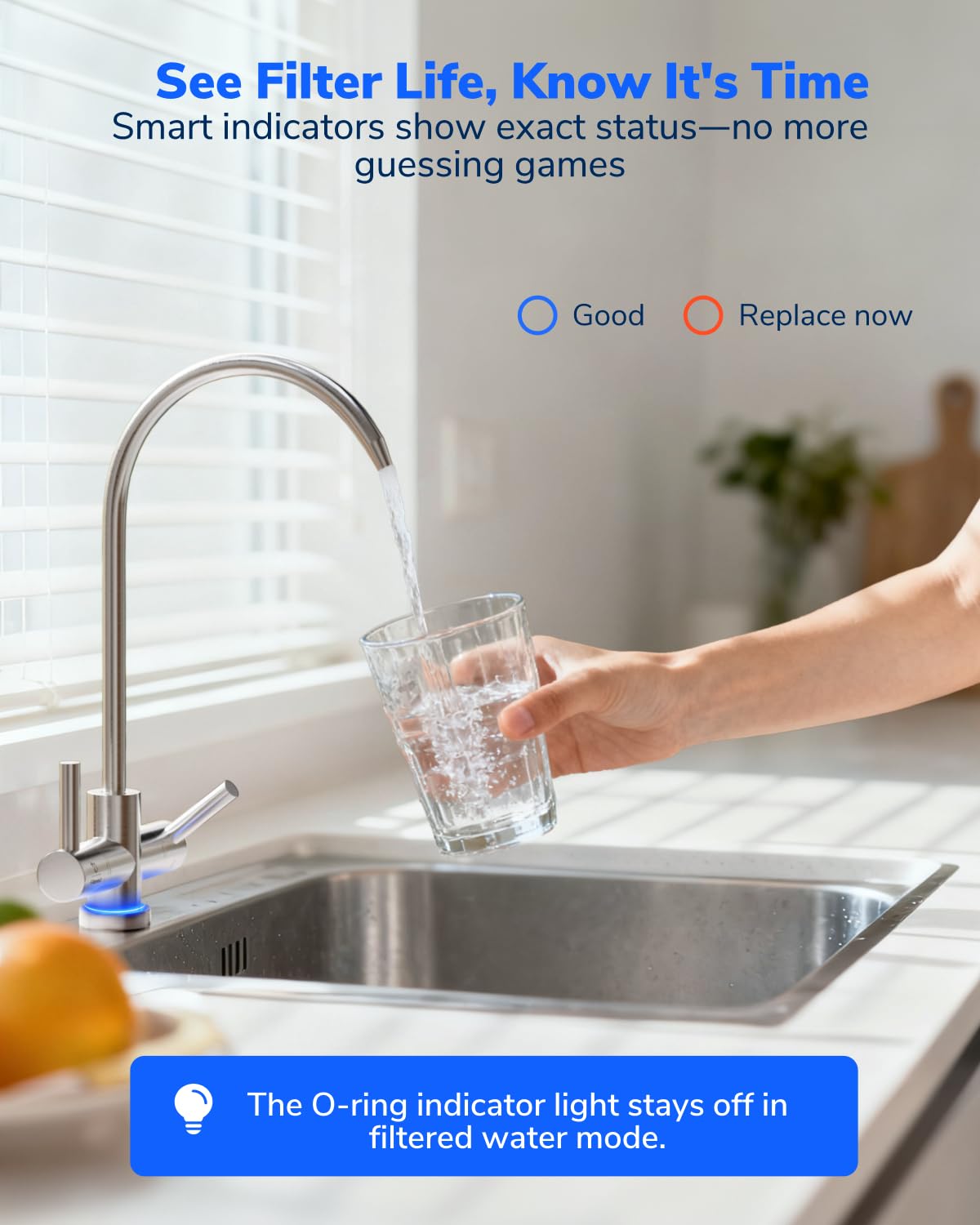 Ecoviva 600GPD Reverse Osmosis System