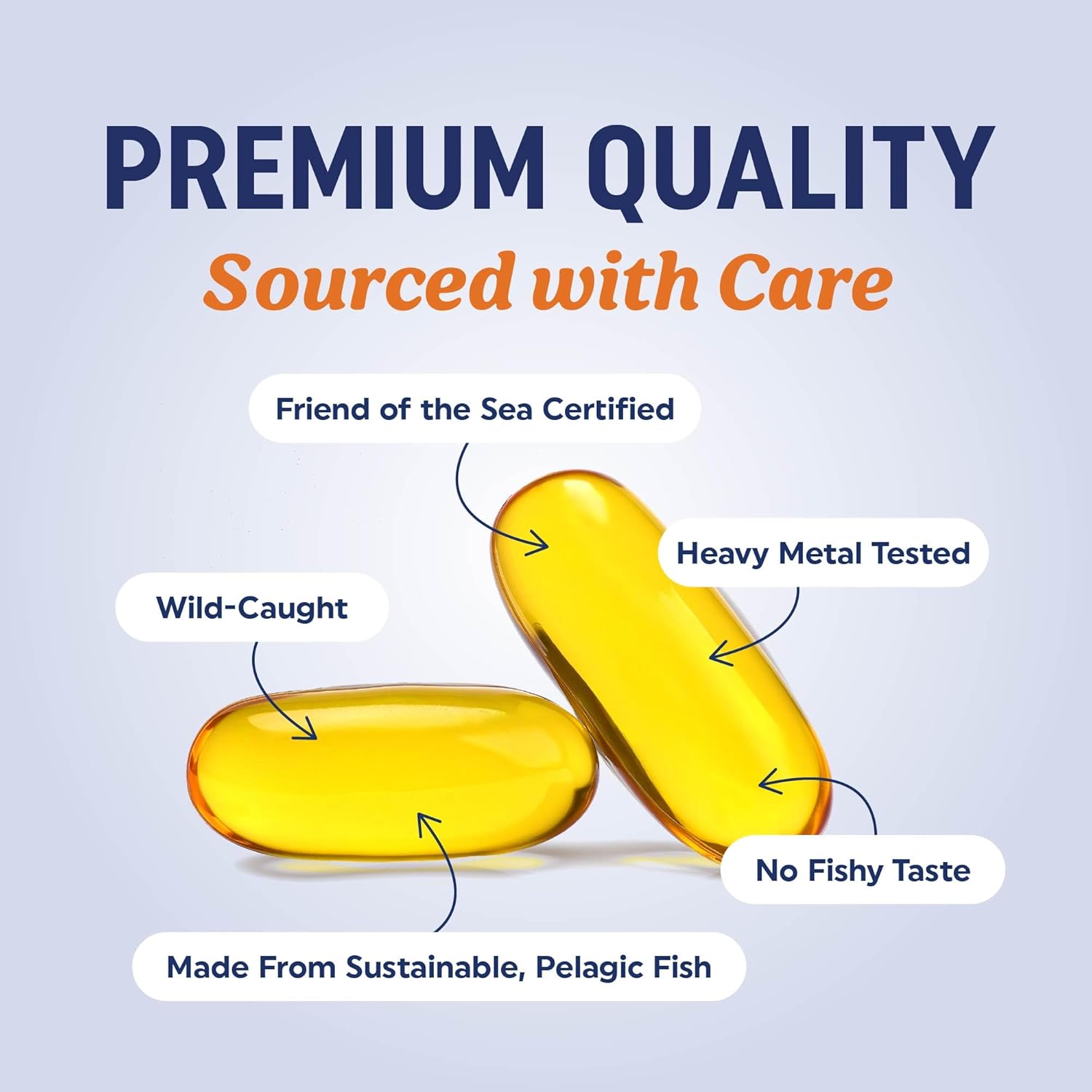 Triple Strength DHA Omega 3 Fish Oil 3600 mg