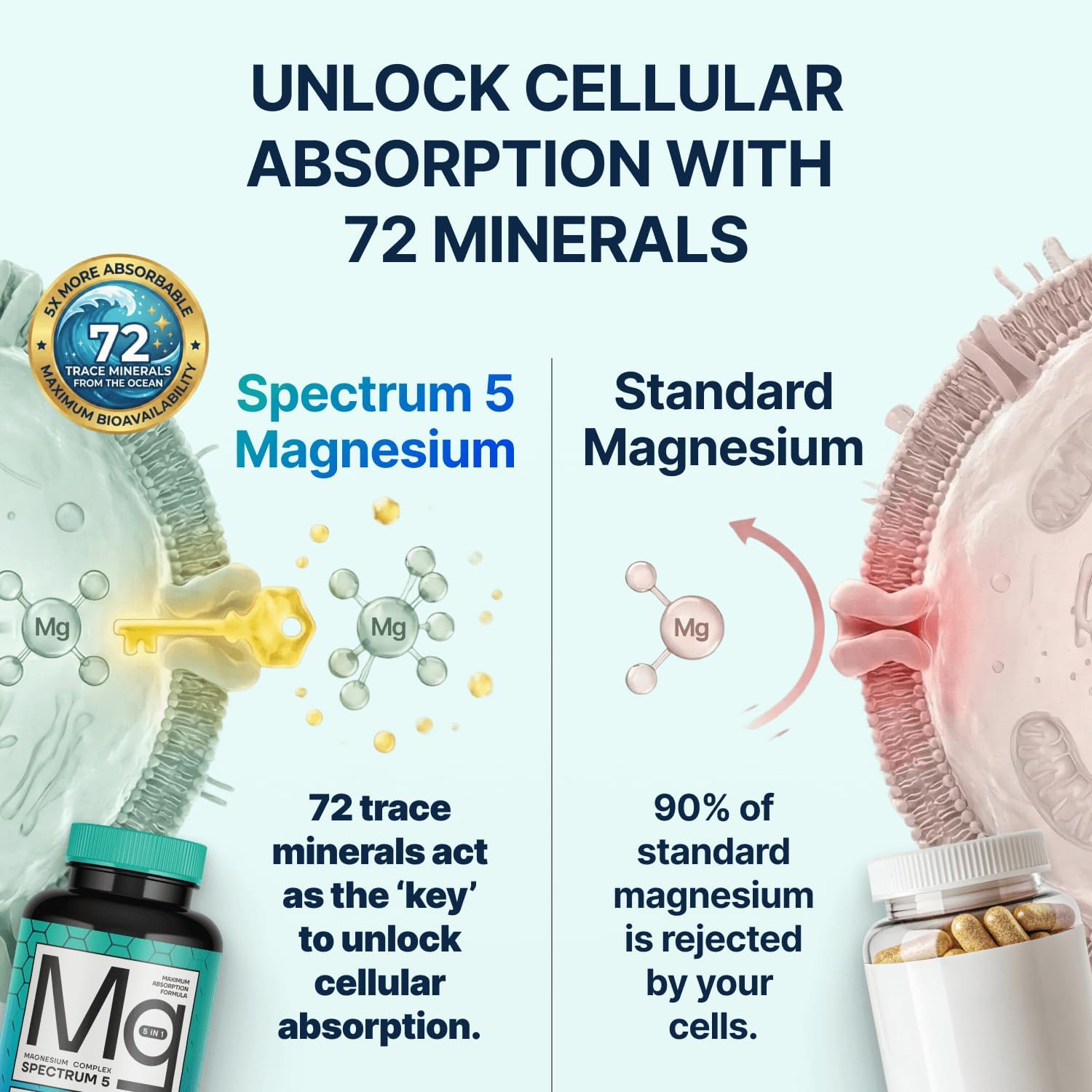 Spectrum 5 Magnesium