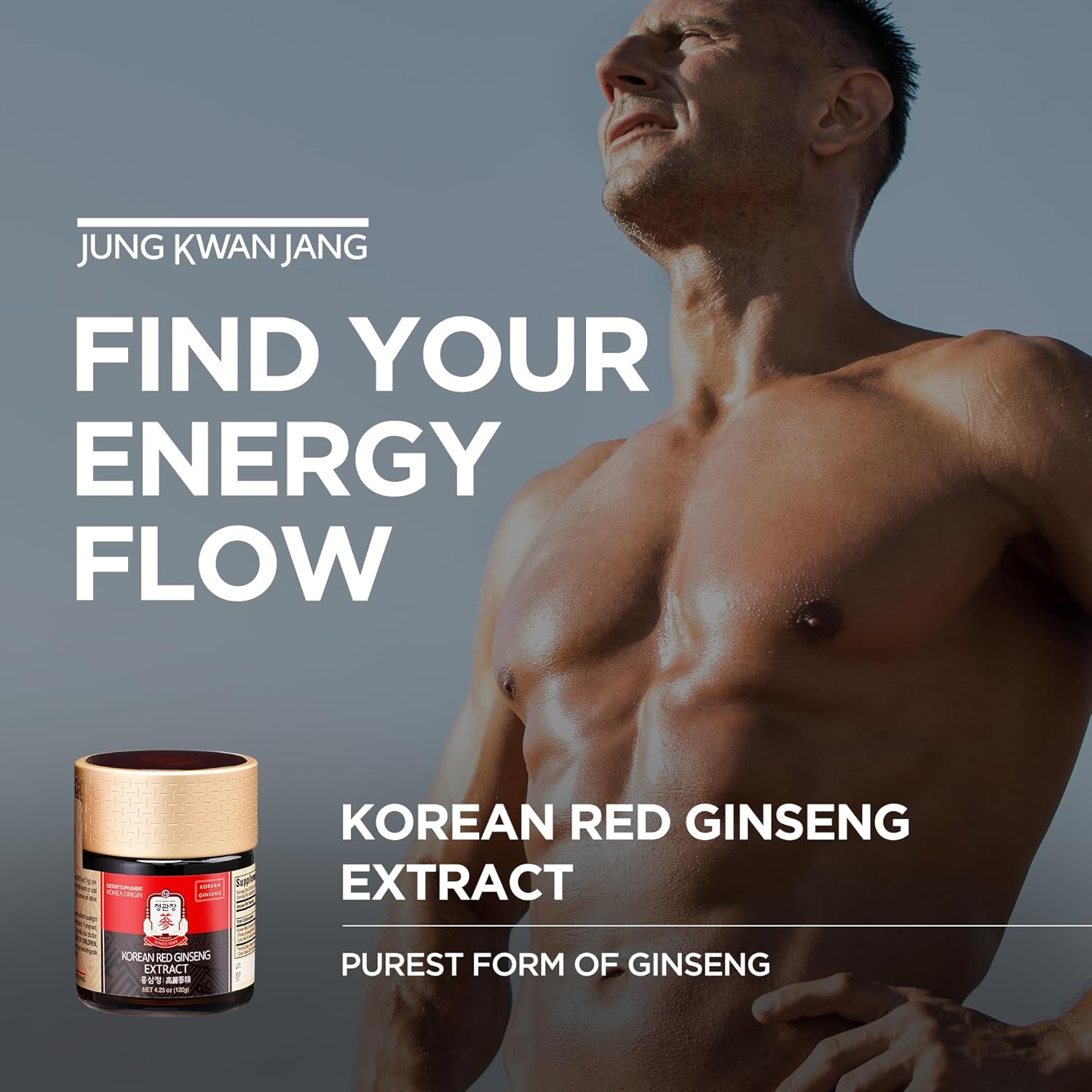 JUNG KWAN JANG Korean Red Ginseng Concentrated Extract