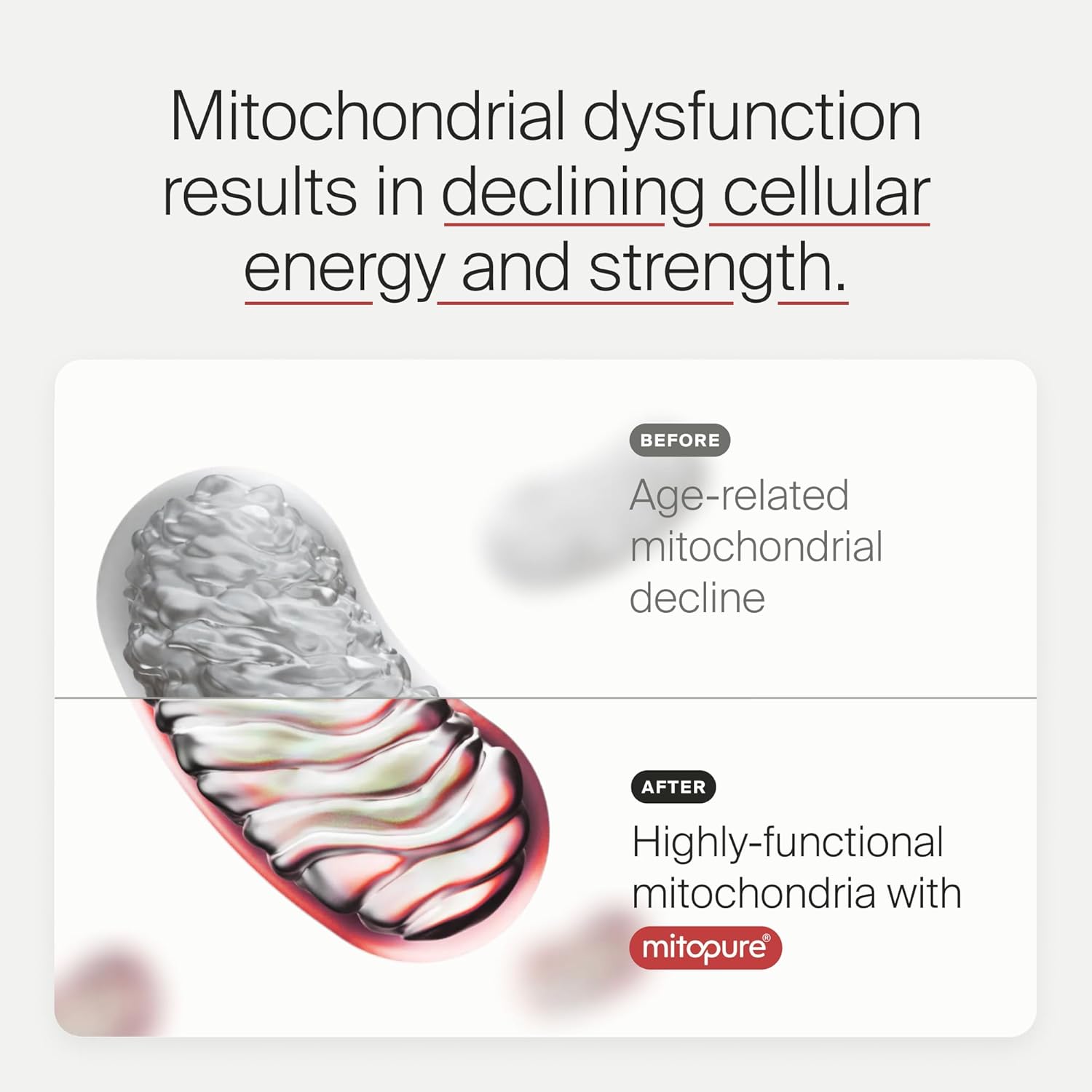 Timeline Mitopure Urolithin A Supplement Softgels