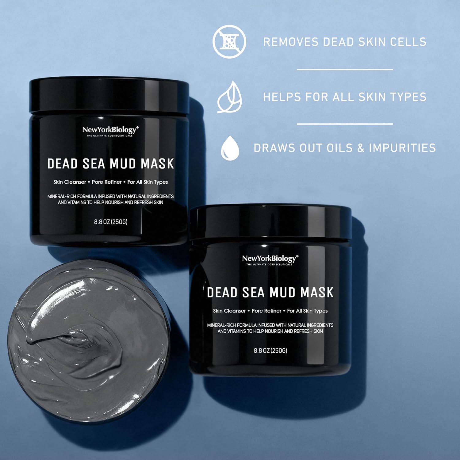 New York Biology Dead Sea Mud Mask for Face and Body