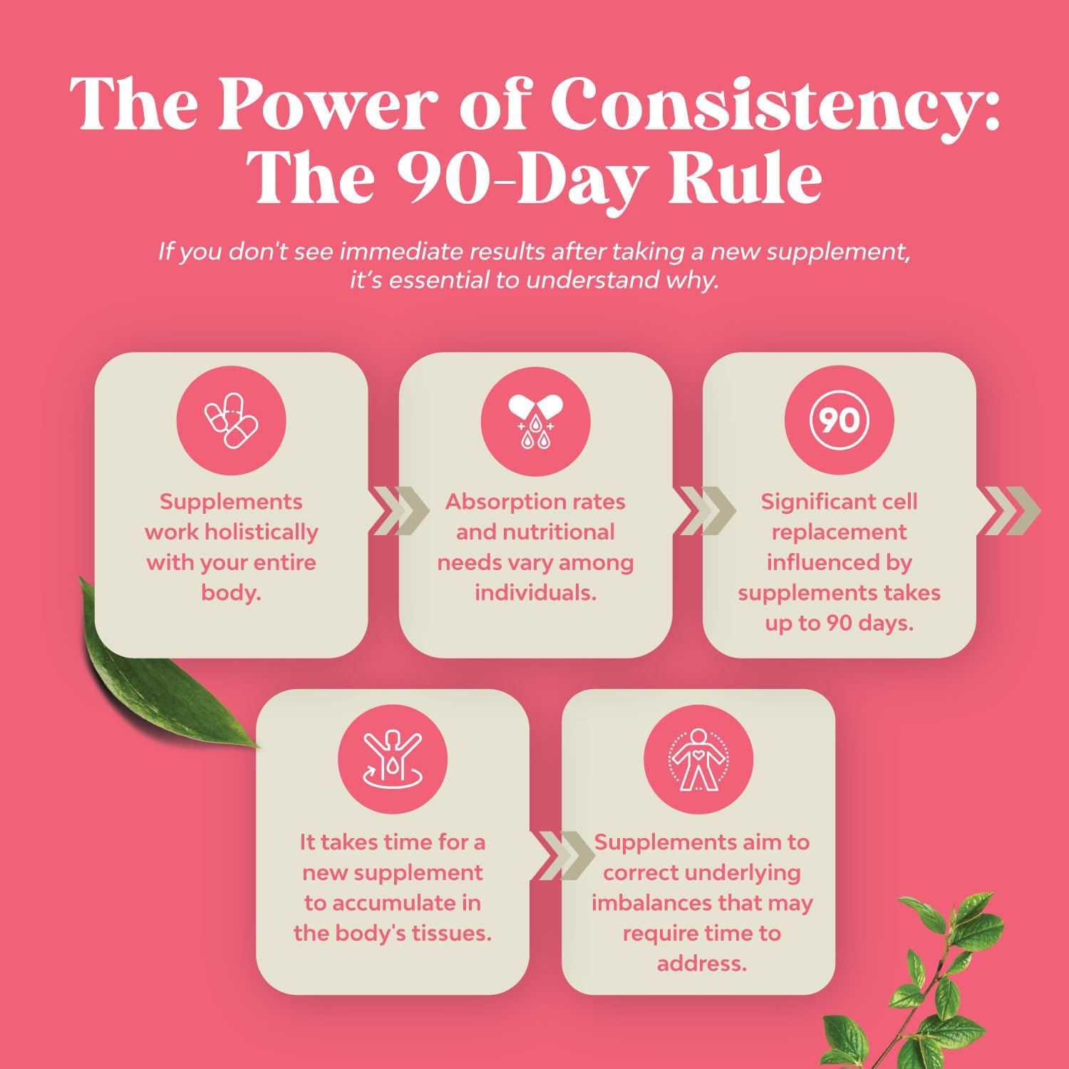 Complete Herbal Menopause Supplement for Women