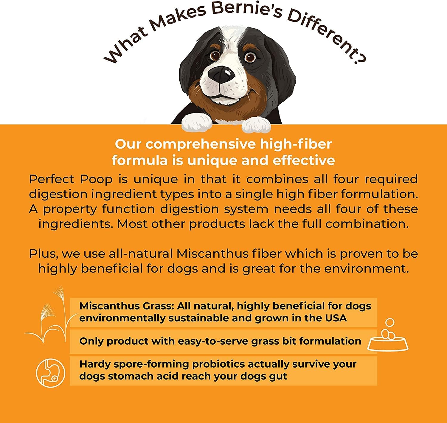 Perfect Poop Digestion & General Health Supplement for Dogs