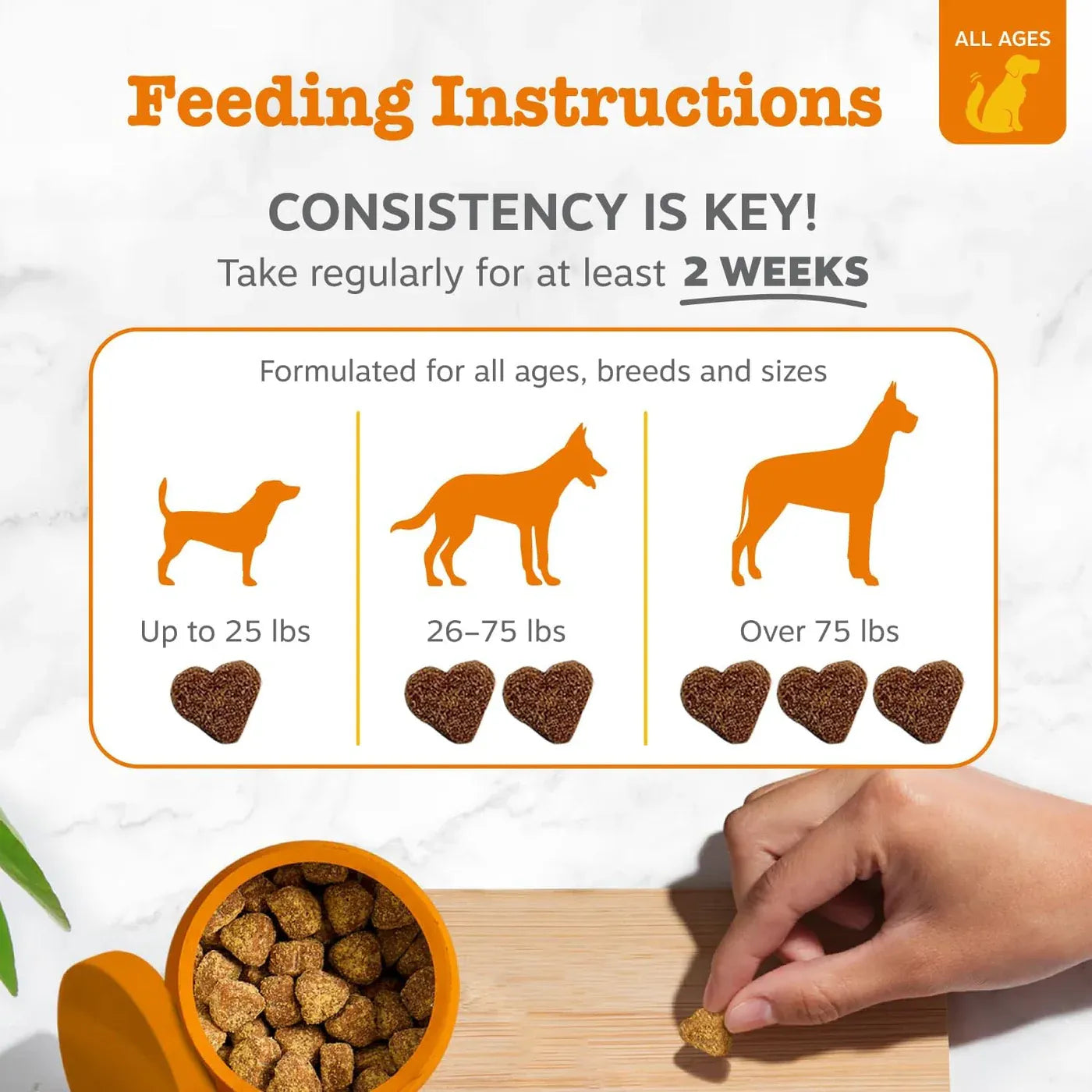 Zesty Paws Dog Allergy Relief Chews