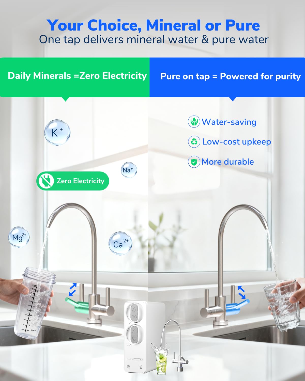 Ecoviva 600GPD Reverse Osmosis System