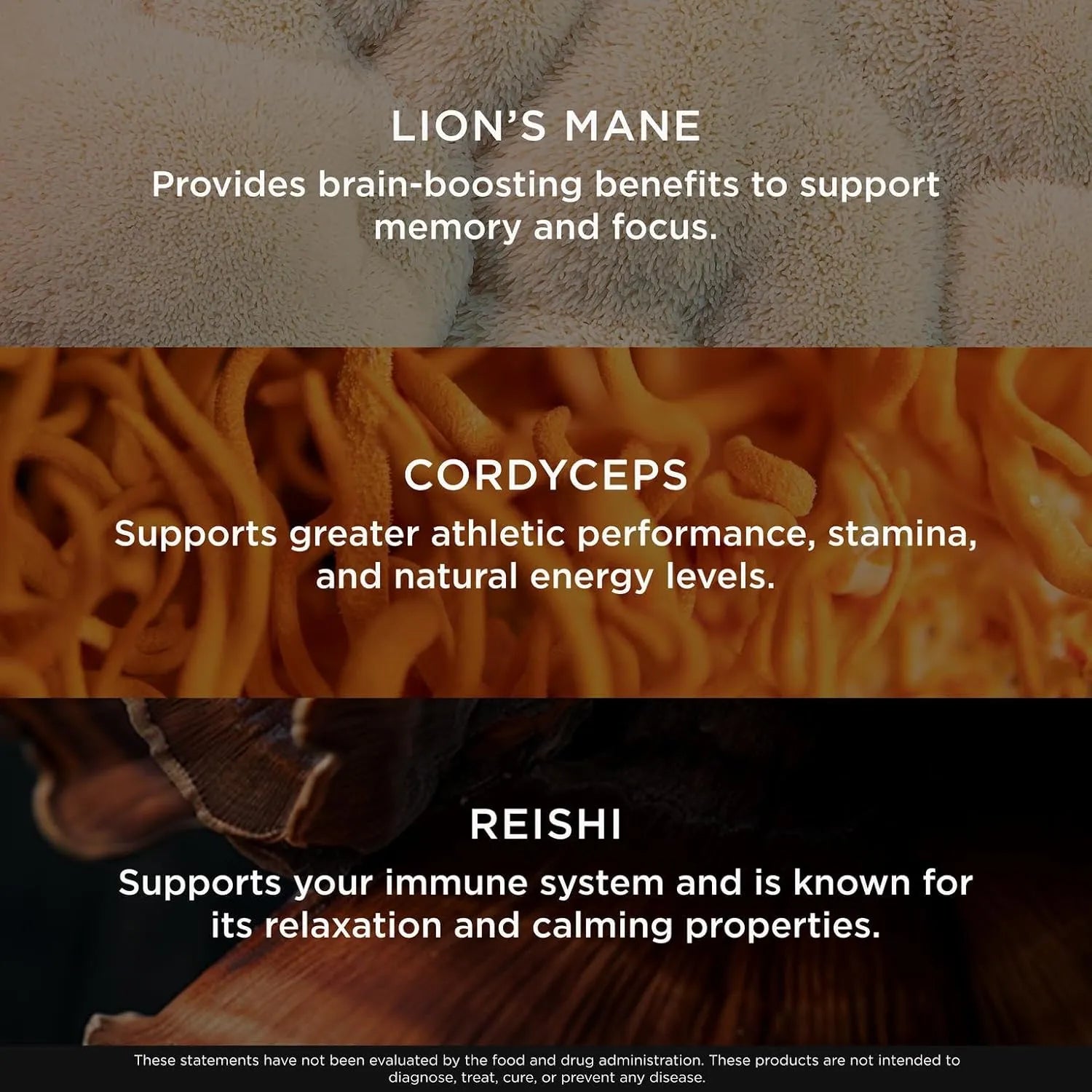 Genius Mushroom Supplement