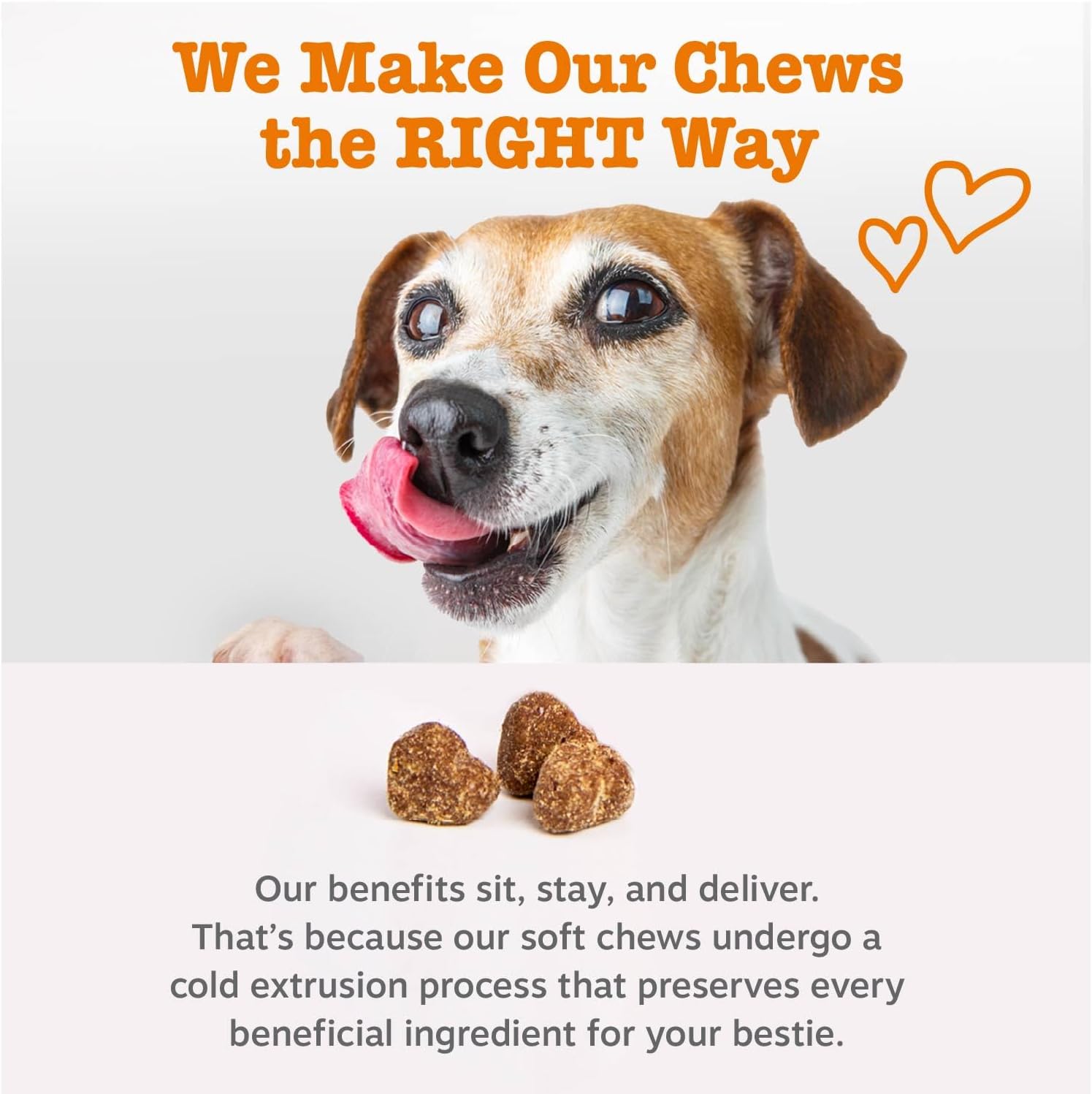 Zesty Paws Dog Allergy Relief Chews