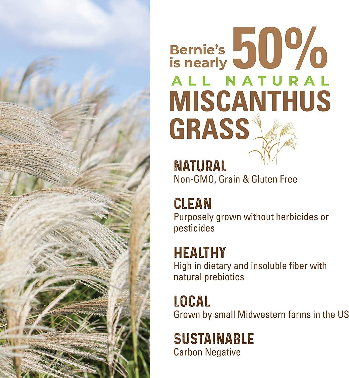 Perfect Poop Digestion & General Health Supplement for Dogs