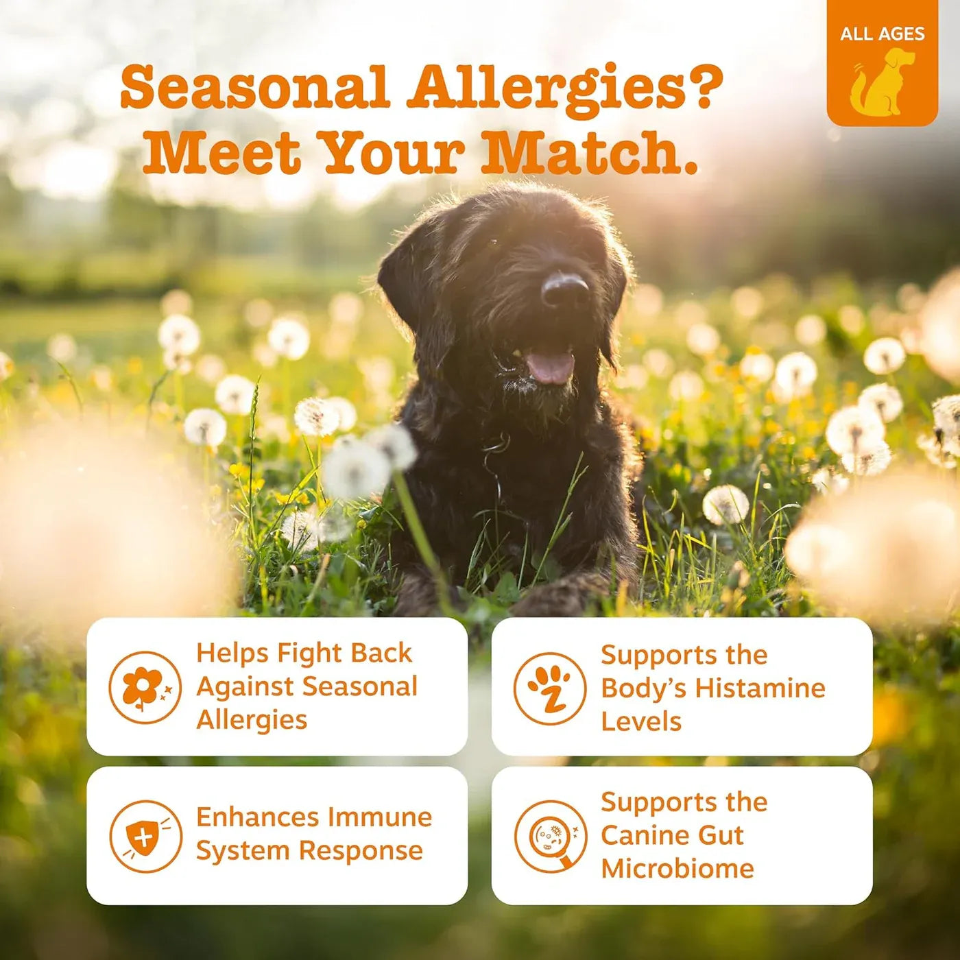 Zesty Paws Dog Allergy Relief Chews