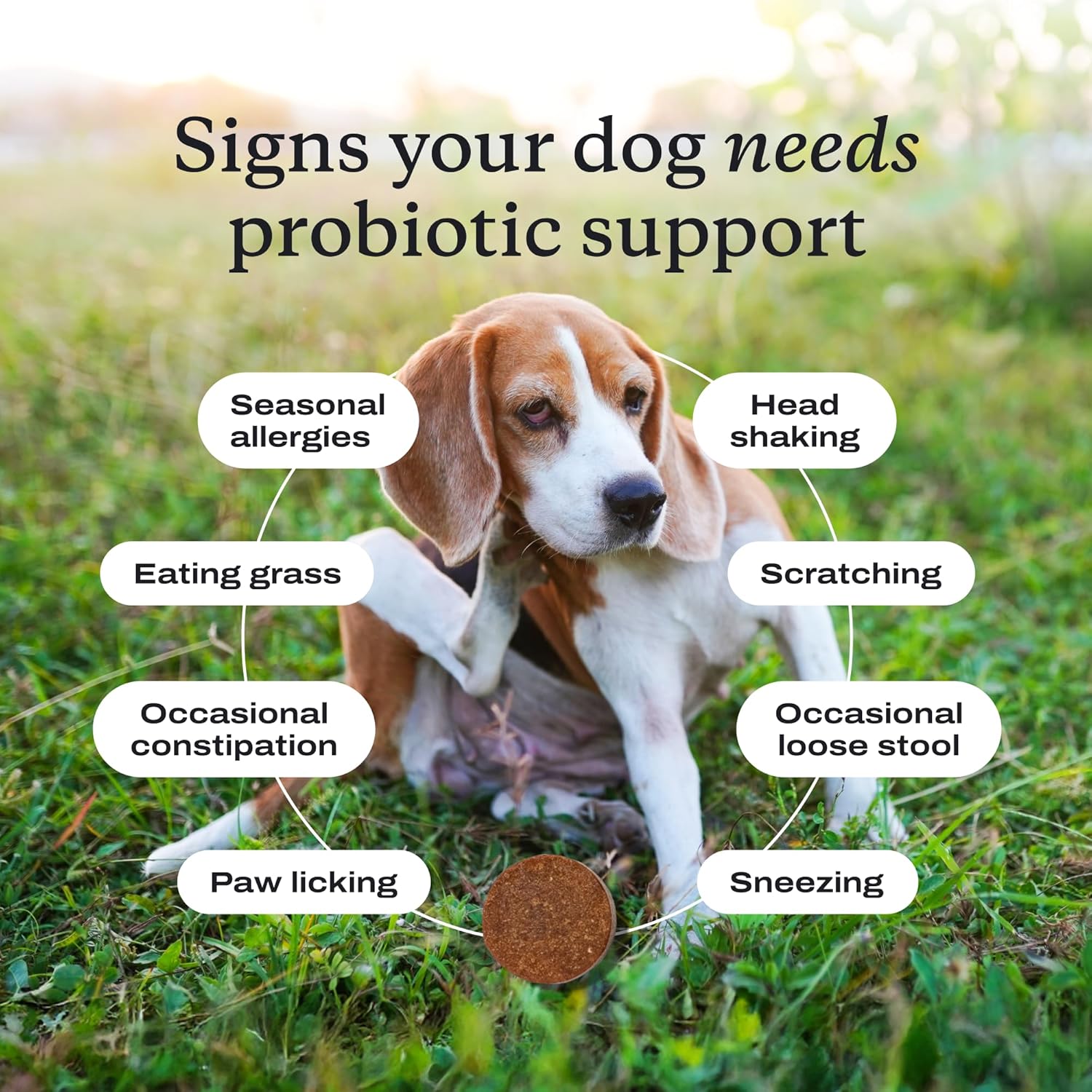 PetLab Co. Probiotics for Dogs