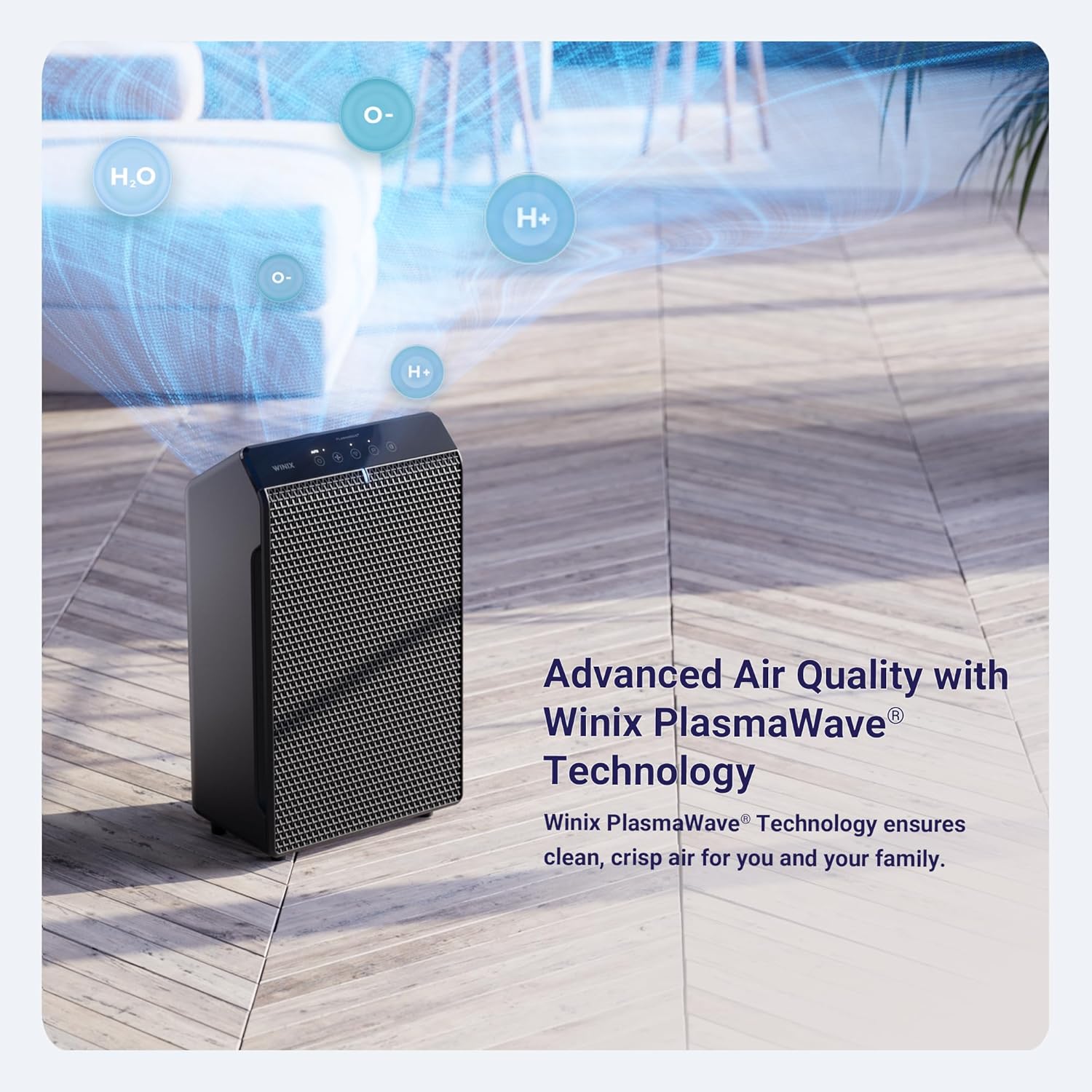 WINIX 5520 Air Purifier