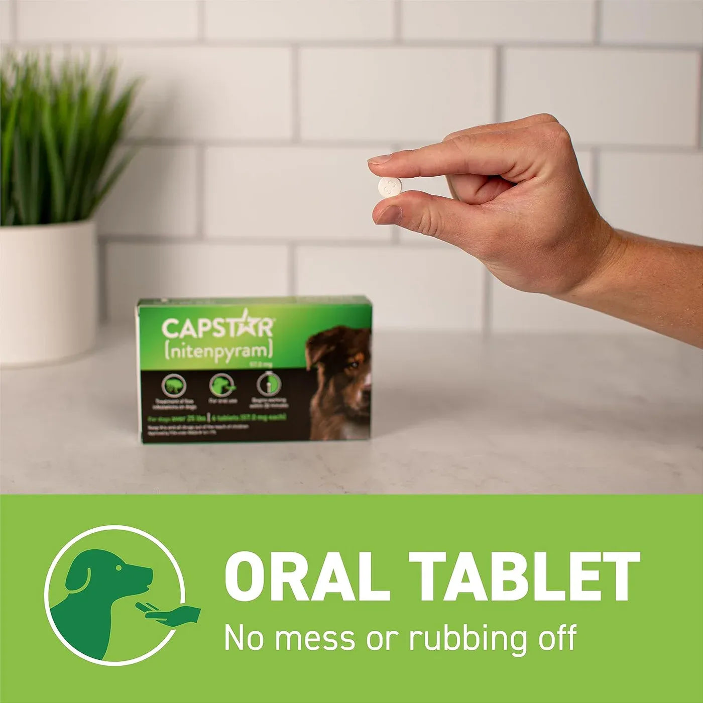 Capstar for Dogs (nitenpyram)