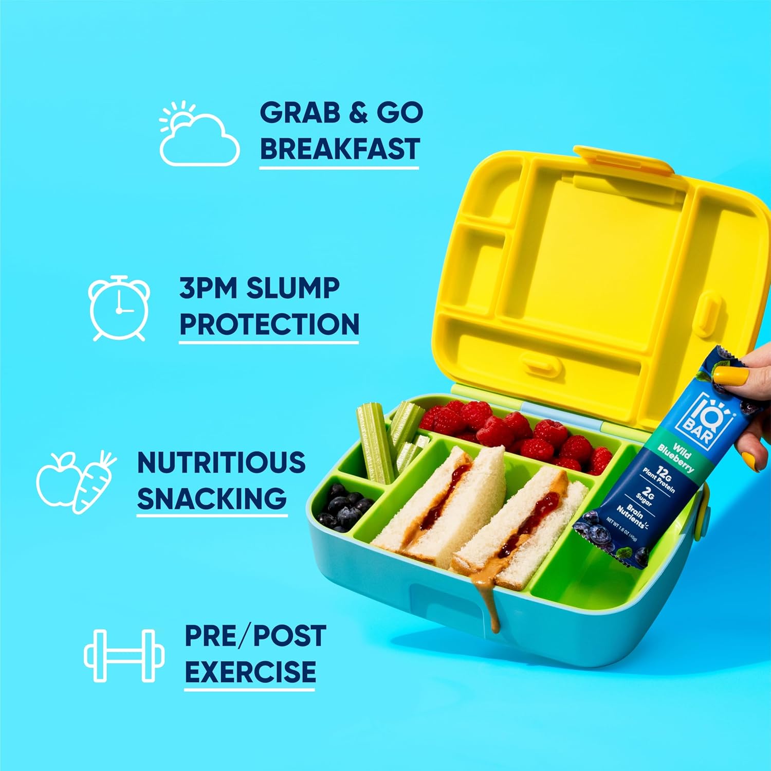 IQBAR Brain and Body Plant Protein Bars