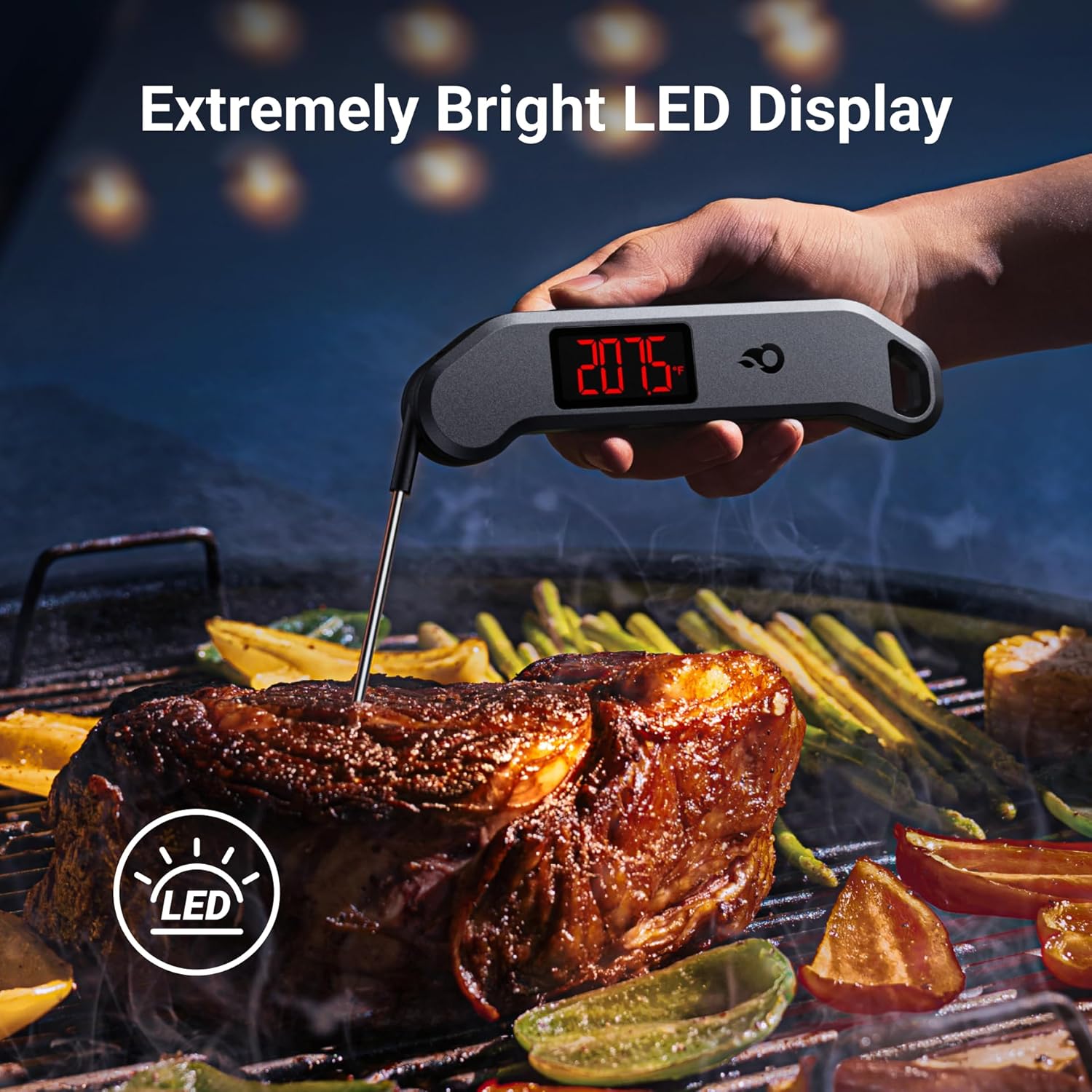 Professional Digital Meat Thermometer