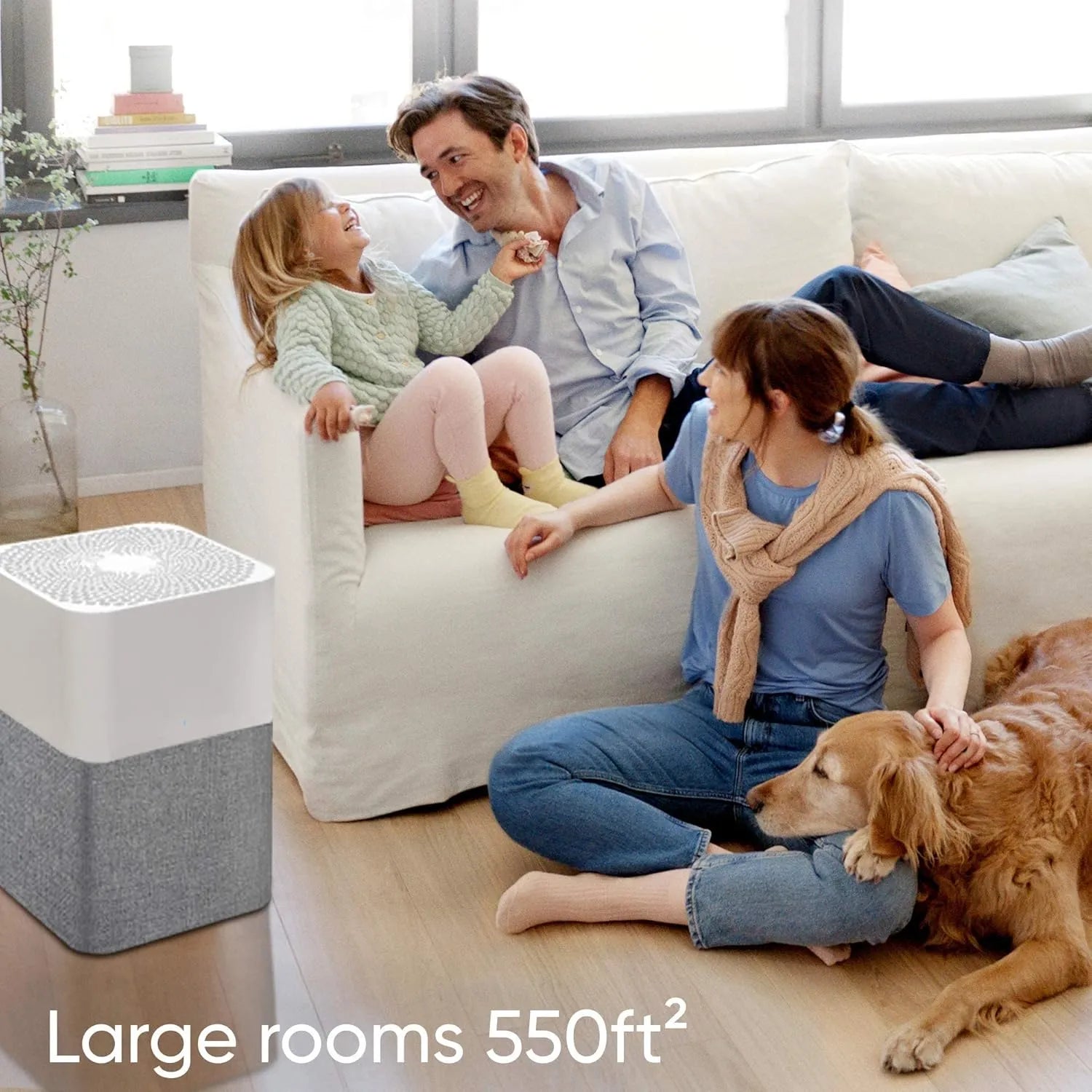 BLUEAIR Air Purifier Large Room