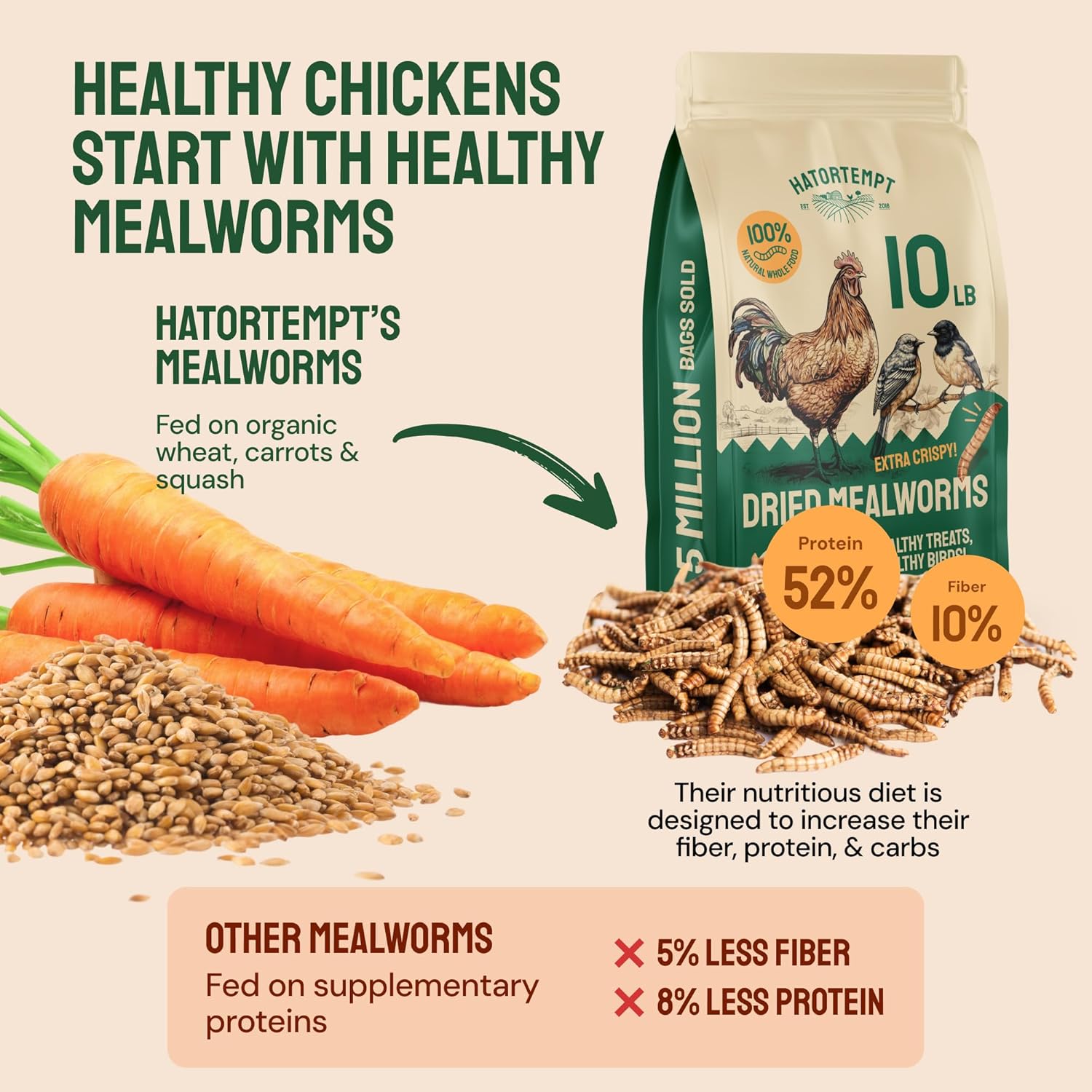 Hatortempt Bulk Dried Mealworms