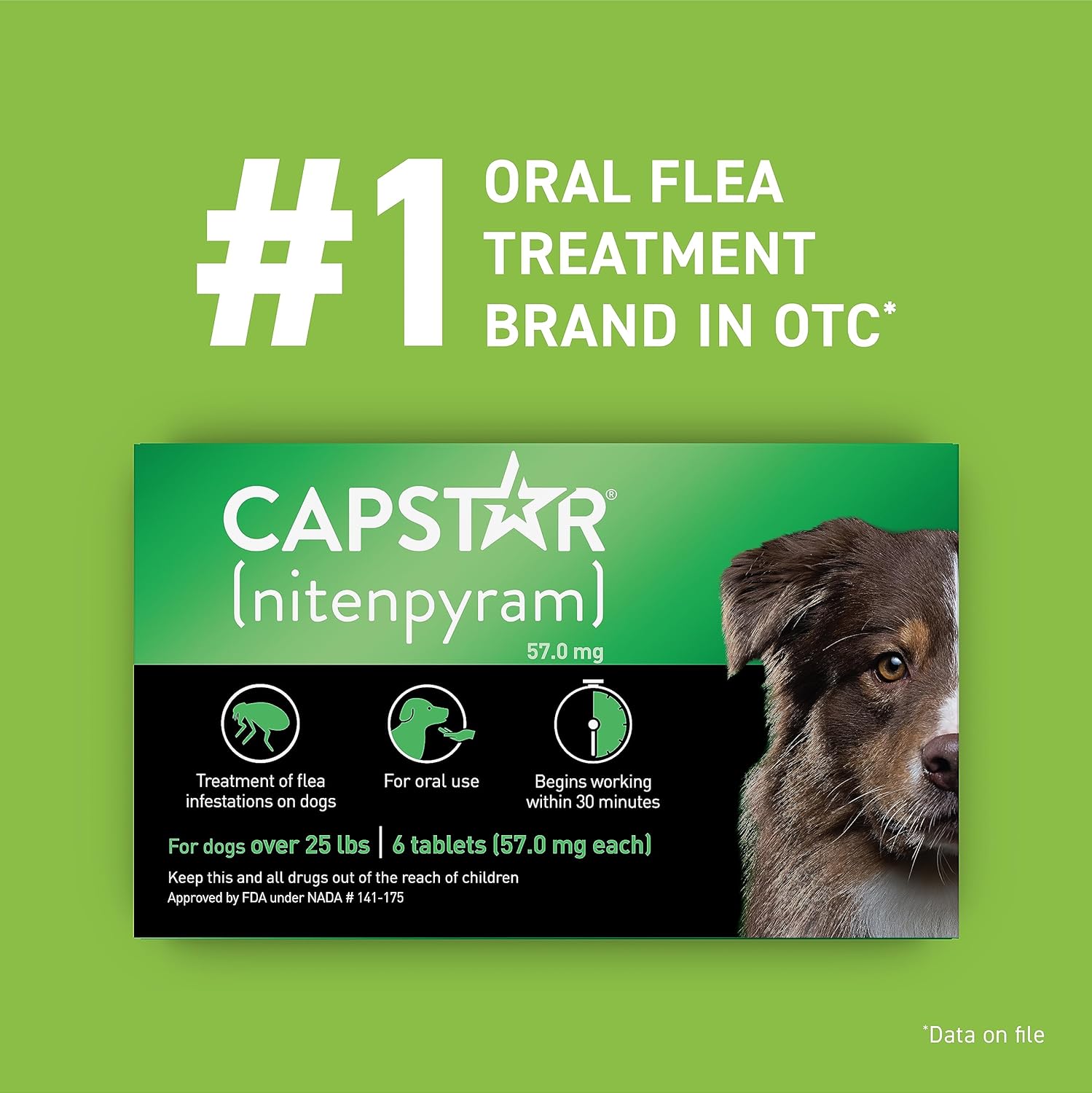 Capstar for Dogs (nitenpyram)
