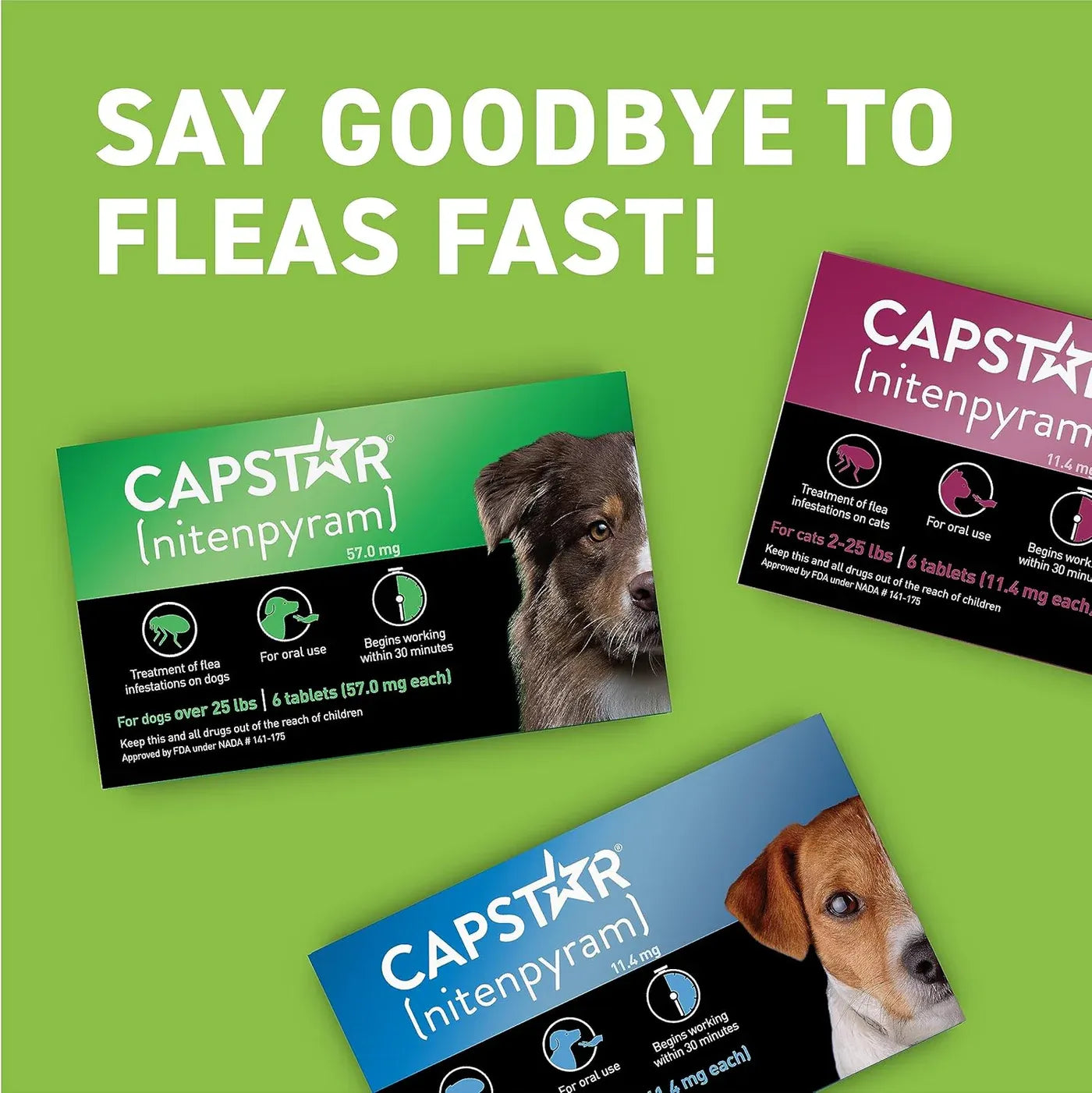 Capstar for Dogs (nitenpyram)
