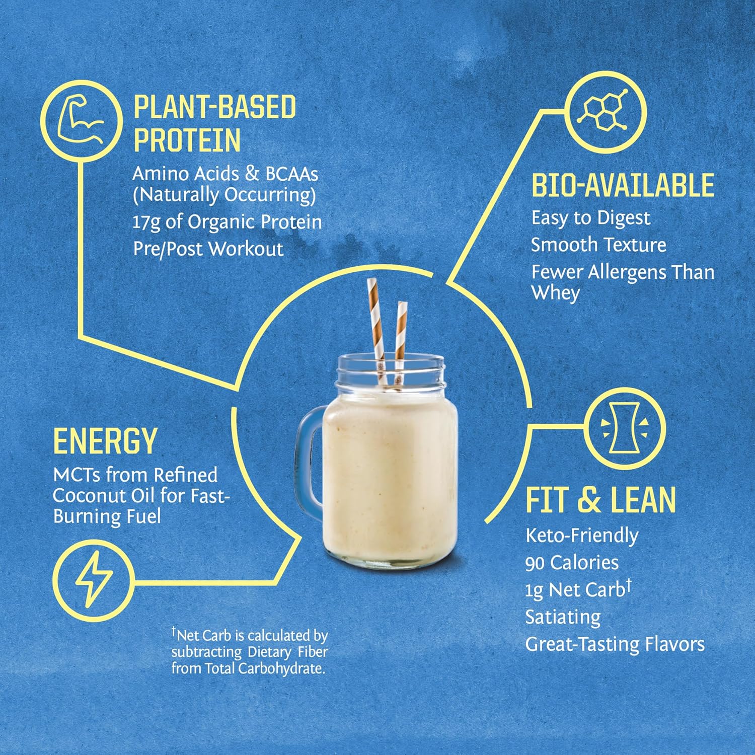 Organic Plant Based Protein Powder