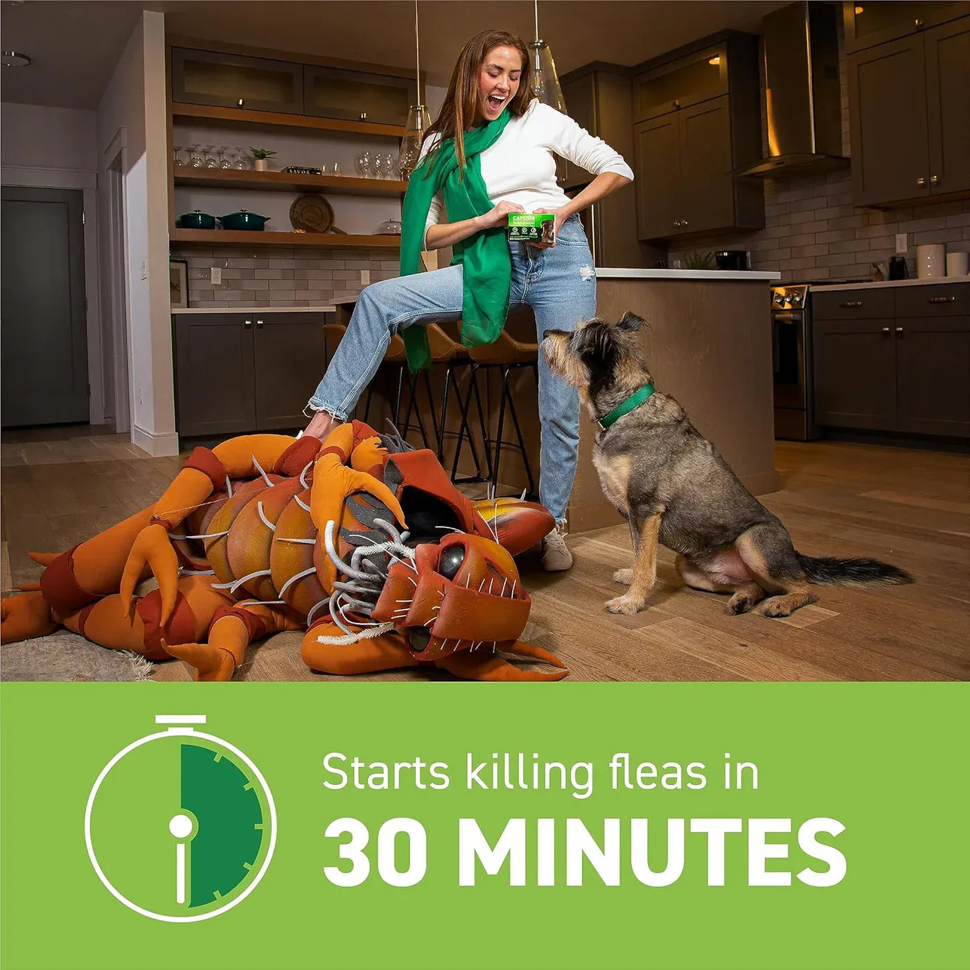 Capstar for Dogs (nitenpyram)
