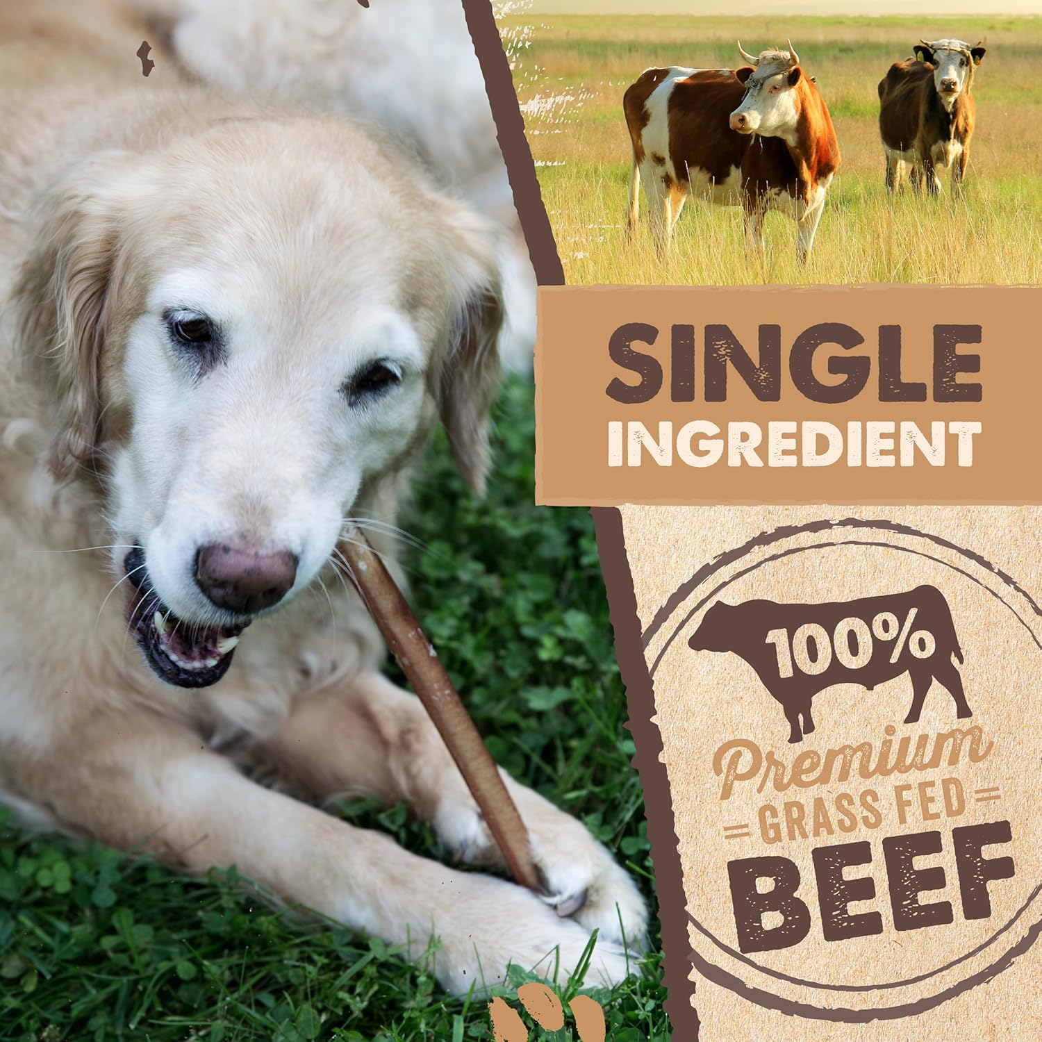 Mighty Paw Long Lasting 12" Bully Sticks for Dogs - All Natural Grass Fed Beef Chews. Lower Odor Dog Bully Sticks for Large Dogs Medium and Small Breeds. Single Ingredient Treats