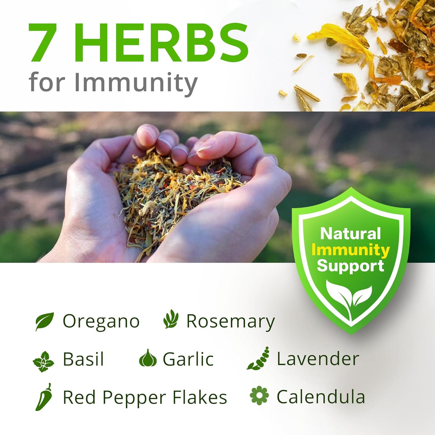 Buff Clucks Herb Supplement for Backyard Chickens - Natural Chicken Treats Poultry Feed Botanical Mix Plant-Based Coop Snacks for Daily Wellness Feather Quality Egg Production USA (12 oz)