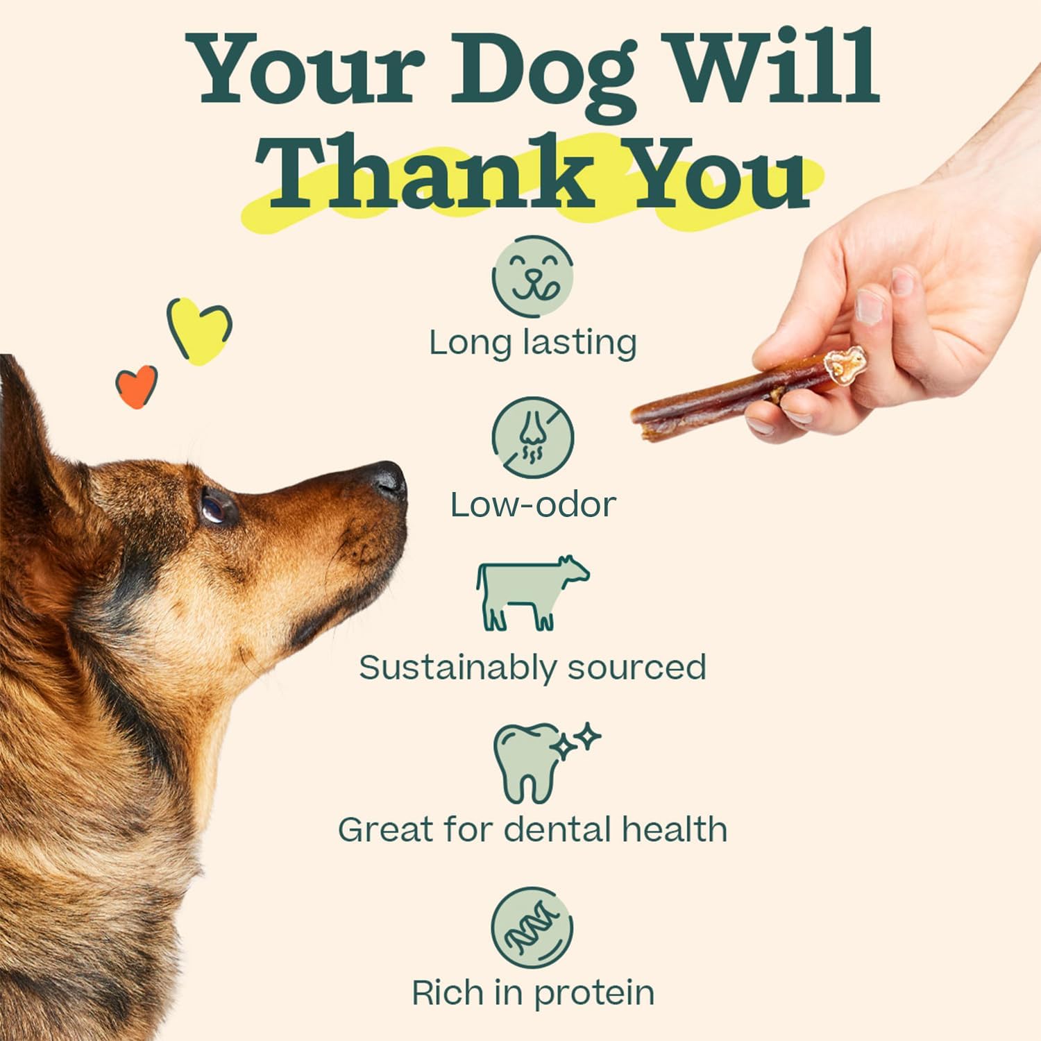 WOOF Bully Sticks Dog Treats - Chew Sticks for Dogs - Long-Lasting Dog Chew Treats - Made with Free-Range Grass-Fed Beef - 6" Sticks - 25pk
