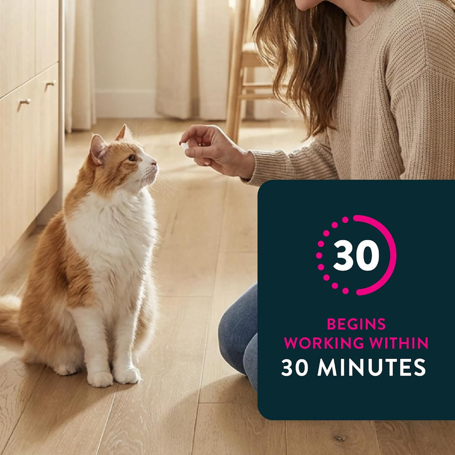 Capstar (nitenpyram) Cat Flea Treatment