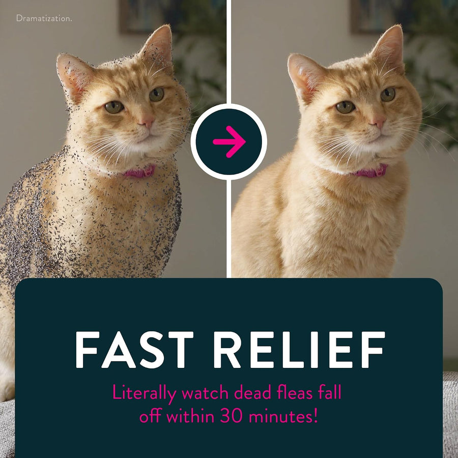 Capstar (nitenpyram) Cat Flea Treatment