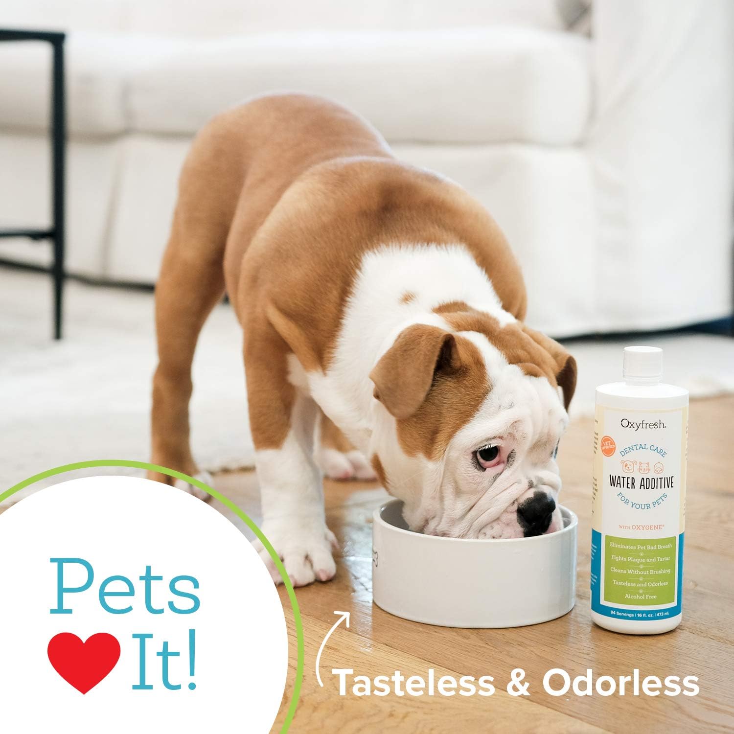 Oxyfresh Premium Pet Dental Care Solution Pet Water Additive ‚Äì No Brushing