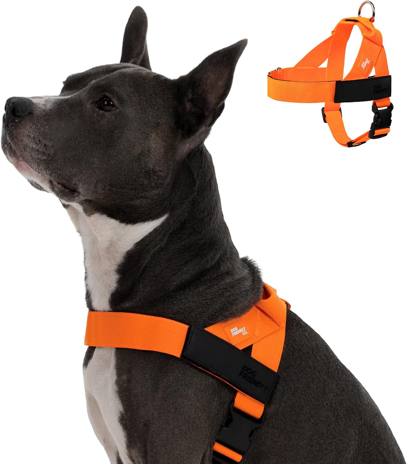 Dog Friendly Co. Dog Harness for Small Dogs (Hi-Vis Orange Extra Small)