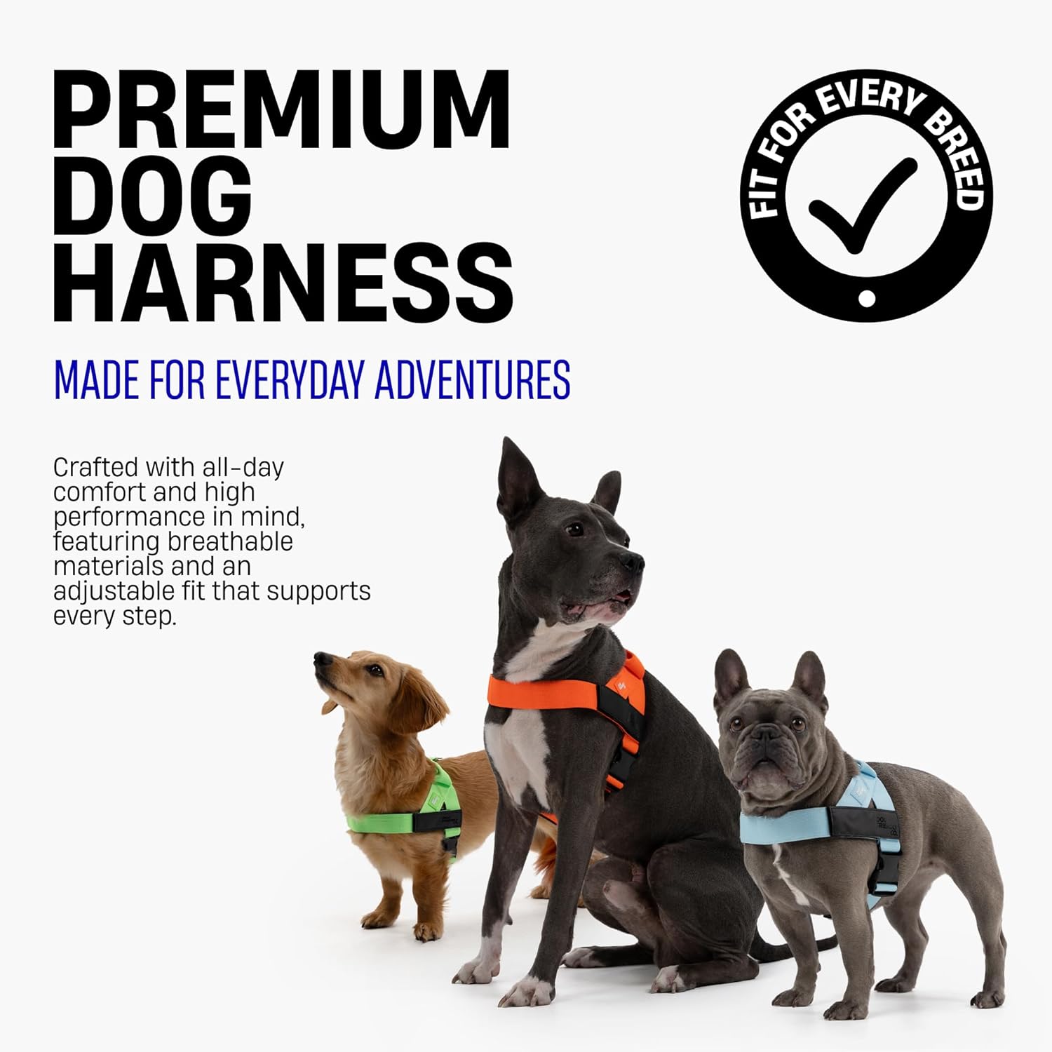 Dog Friendly Co. Dog Harness for Small Dogs (Hi-Vis Orange Extra Small)