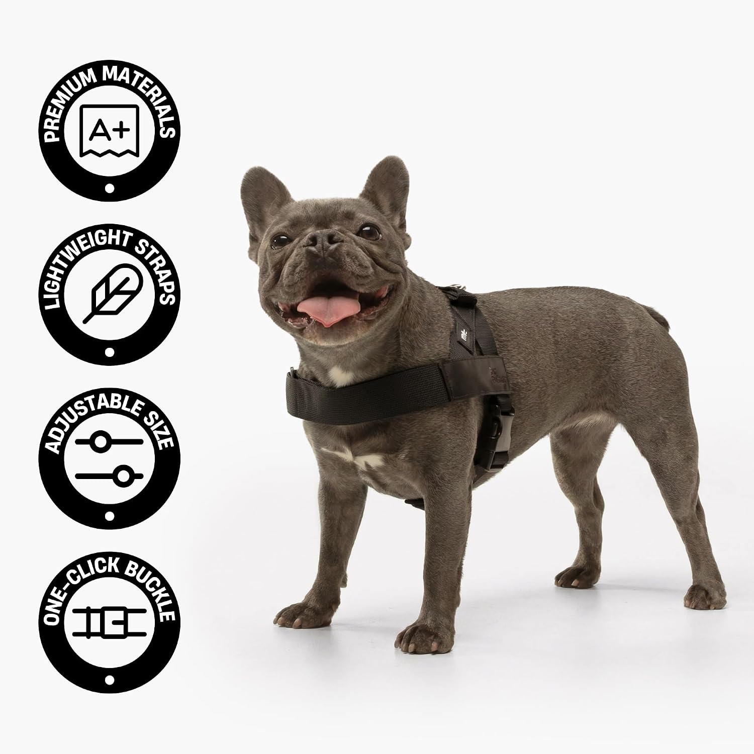Dog Friendly Co. Dog Harness for Small Dogs (Hi-Vis Orange Extra Small)