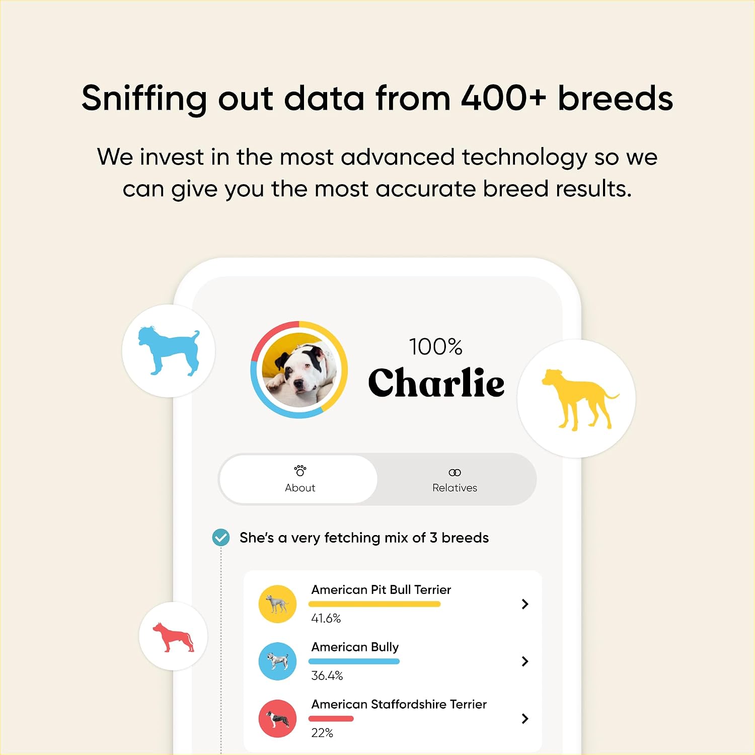 Embark Breed & Health Dog DNA Test – 400+ Breeds, 270+ Health Risks