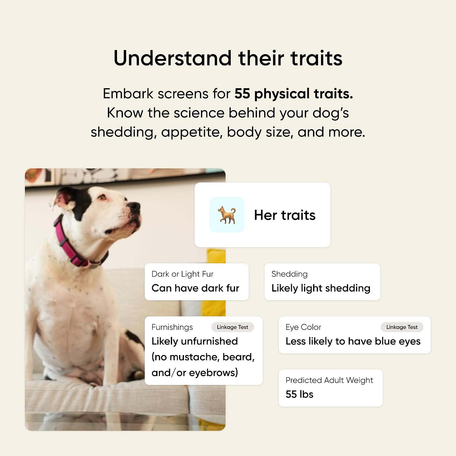Embark Breed & Health Dog DNA Test – 400+ Breeds, 270+ Health Risks