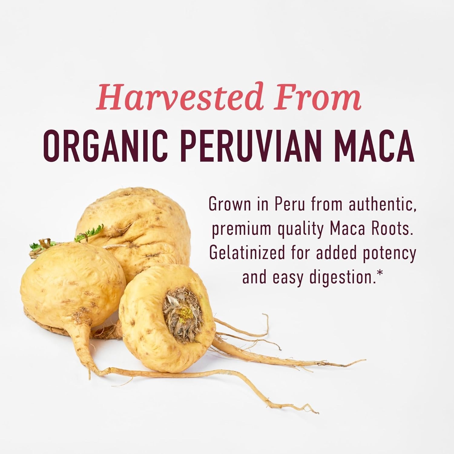 Organic Maca Root Capsules for Women