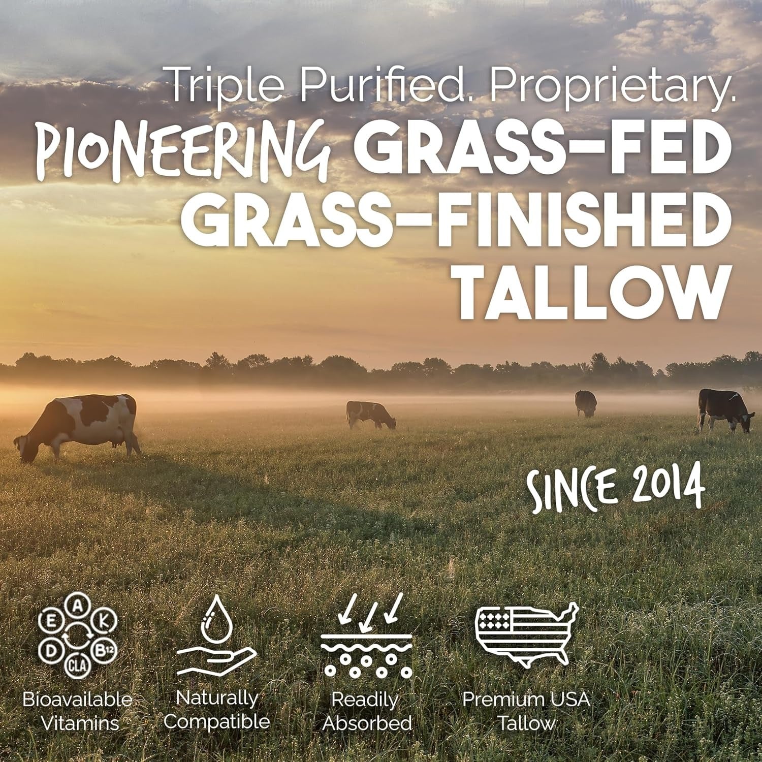 BALM OF GILEAD Manuka Eczema Honey Cream