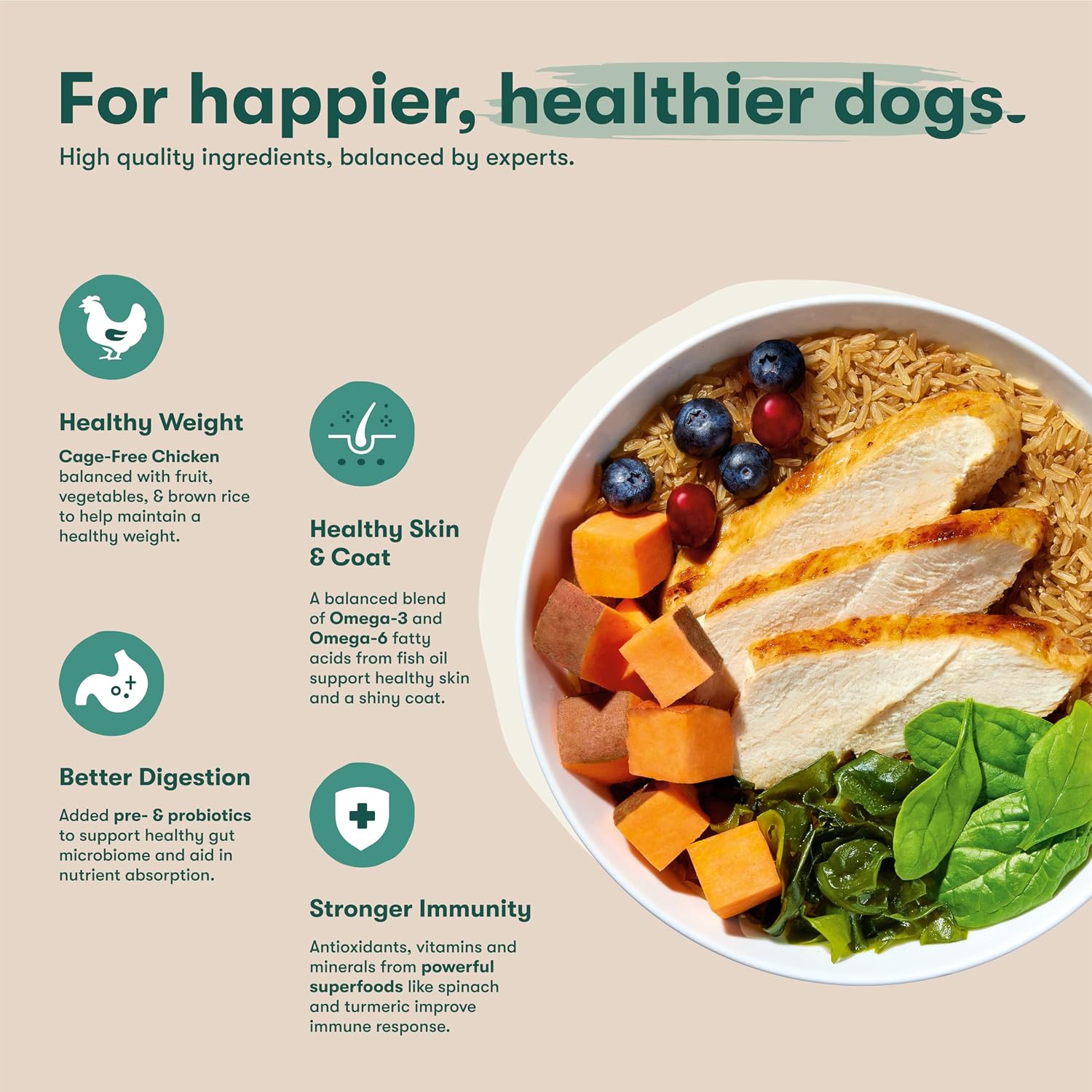Jinx Premium Puppy Dog Food- Real Chicken, Brown Rice & Sweet Potato, Puppy Food with DHA, Protein & Calcium for Brain Health - Probiotics for Digestive Support - No Fillers - 30lb, 30 Pound (Pack of 1), Chicken Puppy