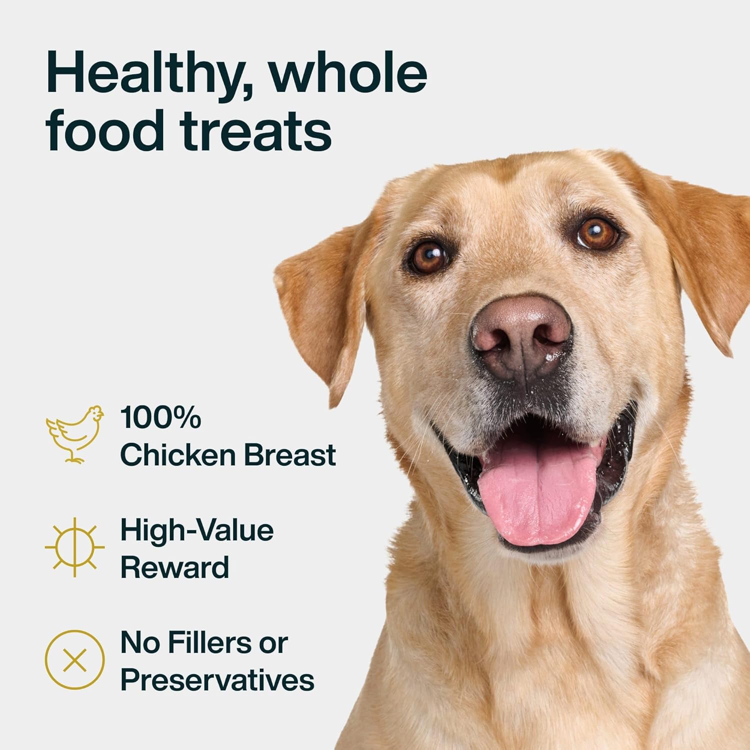 JustFoodForDogs Single Ingredient Healthy Dog Treats and Dog Snacks Jerky Treats Human Grade Preservative and Grain Free Rawhide Free Chews Low Calorie Treat - Chicken Breast 18 oz