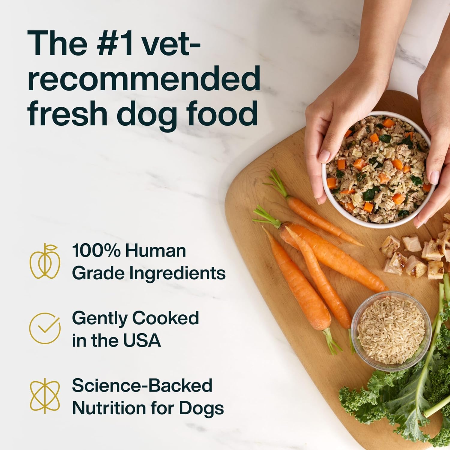 JustFoodForDogs JustFresh Wet Dog Food, Fresh Pet Meals and Toppers with No Preservatives, Resealable Package, Human Grade, Home-Cooked Chicken, 12 oz - 7 Pack