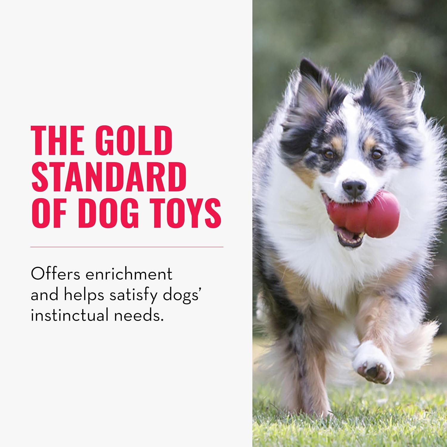 KONG Classic Stuffable Dog Toy Natural Rubber Chew for XX-Large Dogs