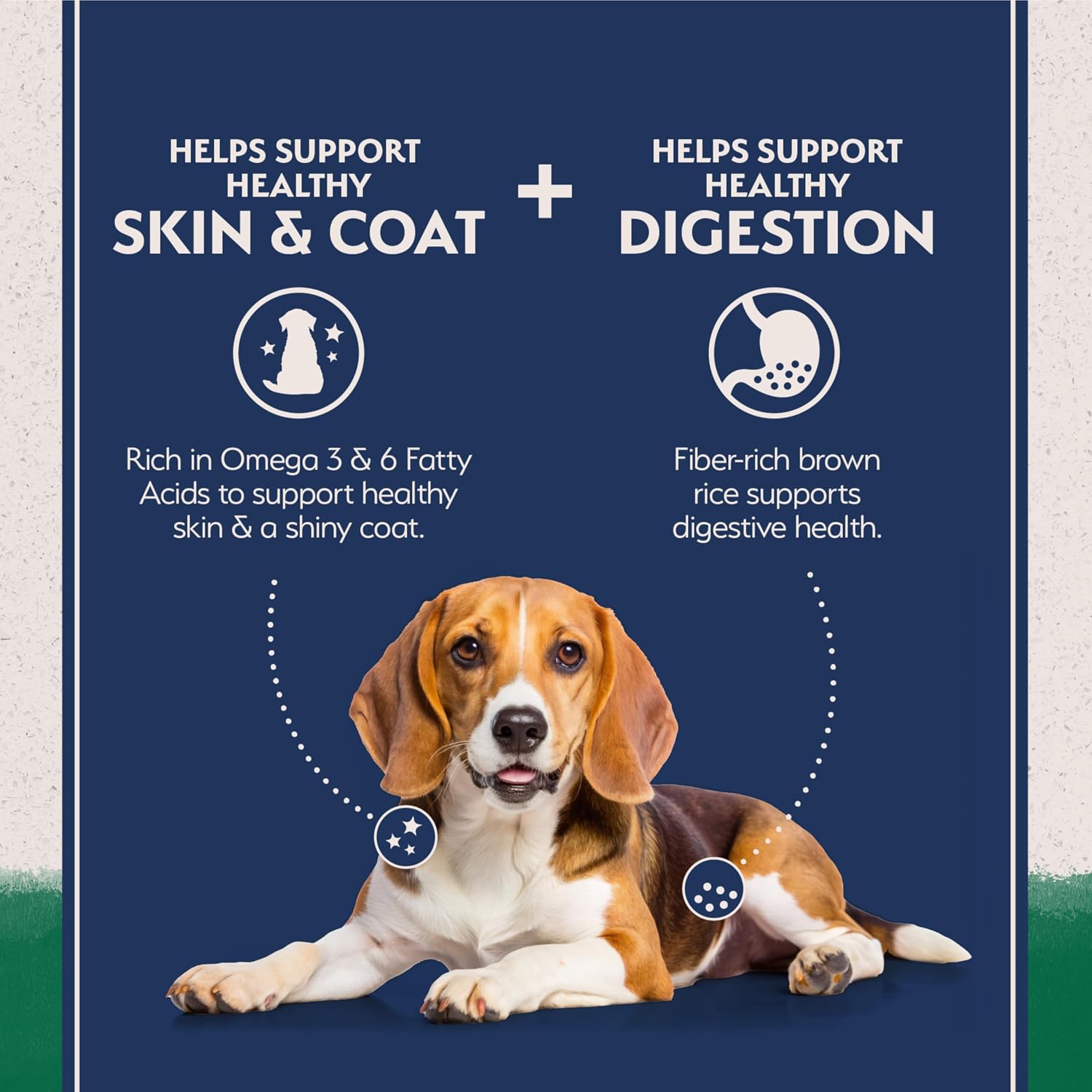 Natural Balance Limited Ingredient, Lamb & Brown Rice, 24 lb | Dry Dog Food with Wholesome Grains, Balanced Nutrition for Adult Dogs with Sensitivities, Skin and Stomach Support, Lamb & Brown Rice, 24 Pound (Pack of 1)