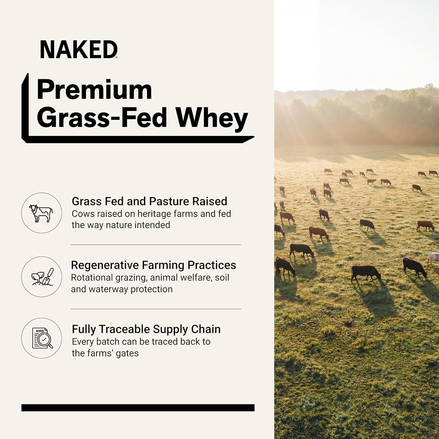 NAKED Whey Vanilla Protein Powder - Only 3 Ingredients - Grass Fed Whey Protein Powder, Vanilla Flavor, and Organic Coconut Sugar, NSF Certified, No GMO, No Soy, and Gluten Free - 24 Servings