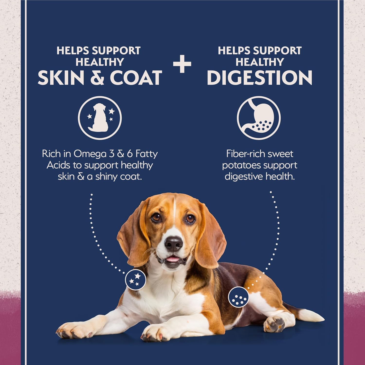 Natural Balance Limited Ingredient, Reserve Sweet Potato & Venison, 22 lb | Grain-Free Dry Dog Food, Balanced Nutrition for Adult Dogs with Sensitivities, Skin and Stomach Support, Sweet Potato & Venison, 22 Pound (Pack of 1)