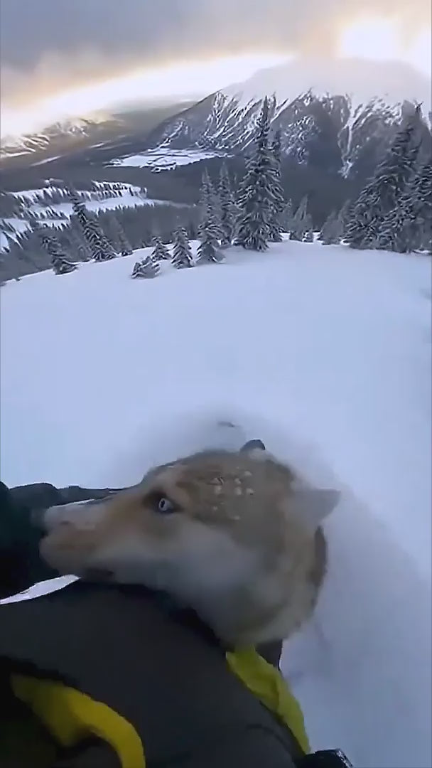 GENIANI XL Electric Heating Pad for Back Pain & Cramps Relief