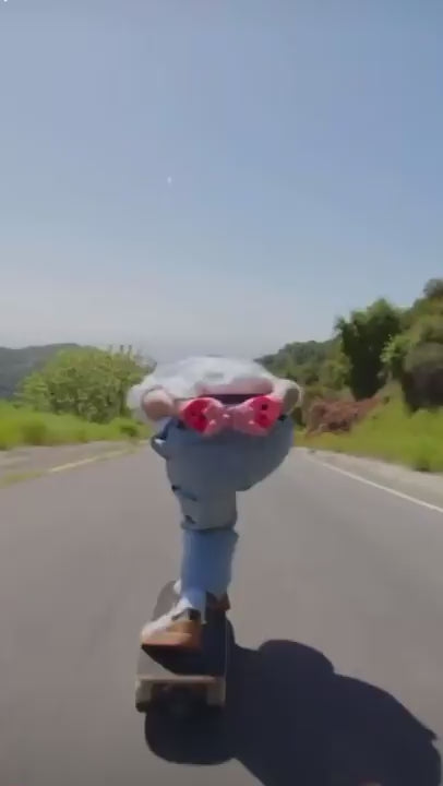 HOVERAir X1 Drone with Camera